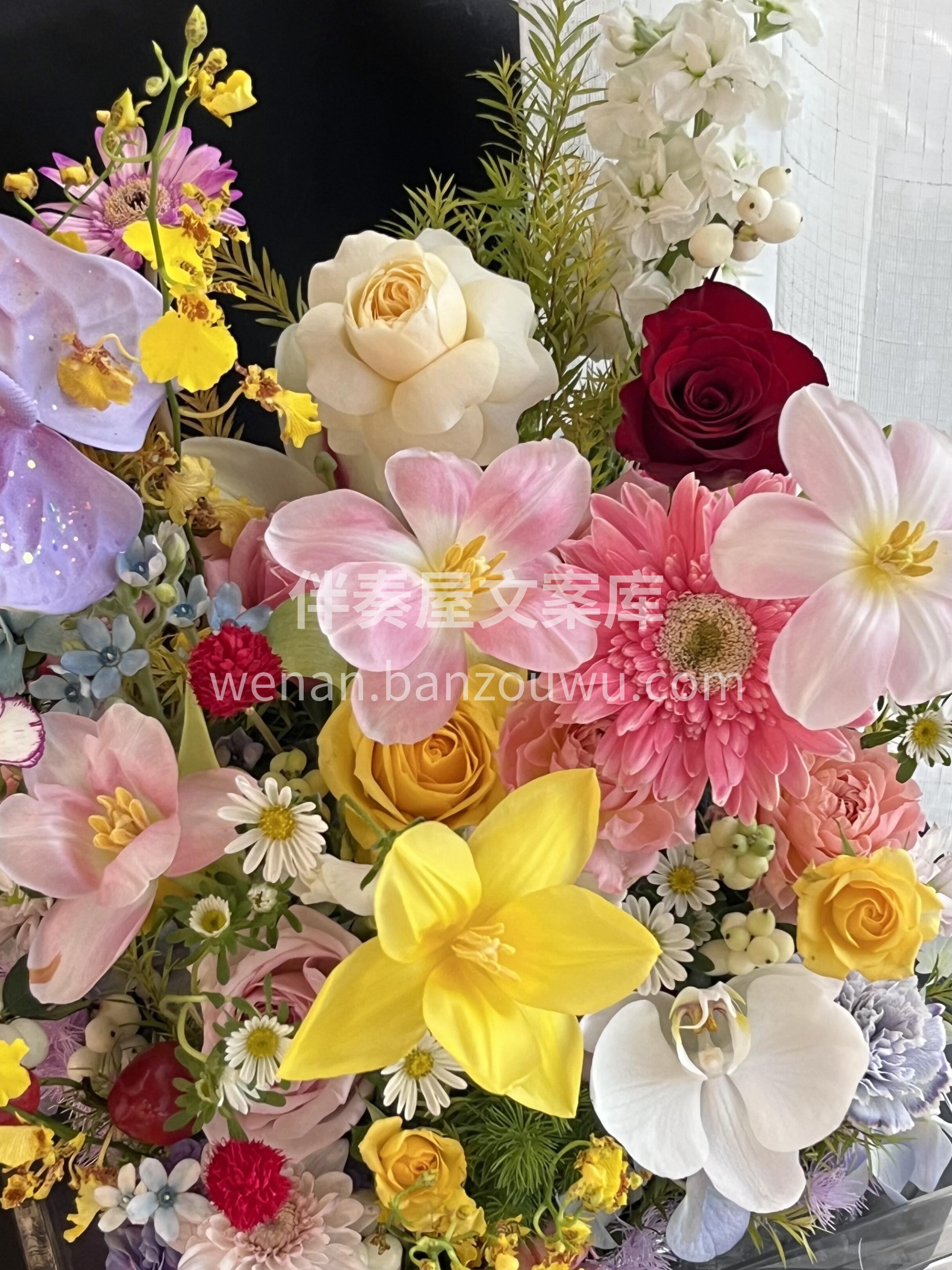 自然风缤纷小花盒 🌼 🌷 🍀 🌹 🌻 人 配图2