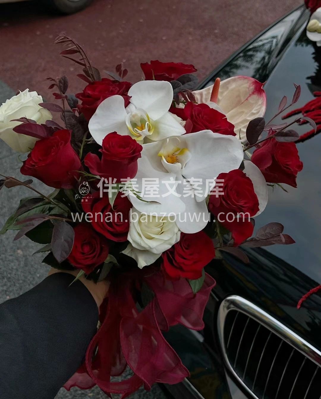 红玫瑰🌹 蝴蝶兰的🌸结合 永恒与经典👰🤵 配图2