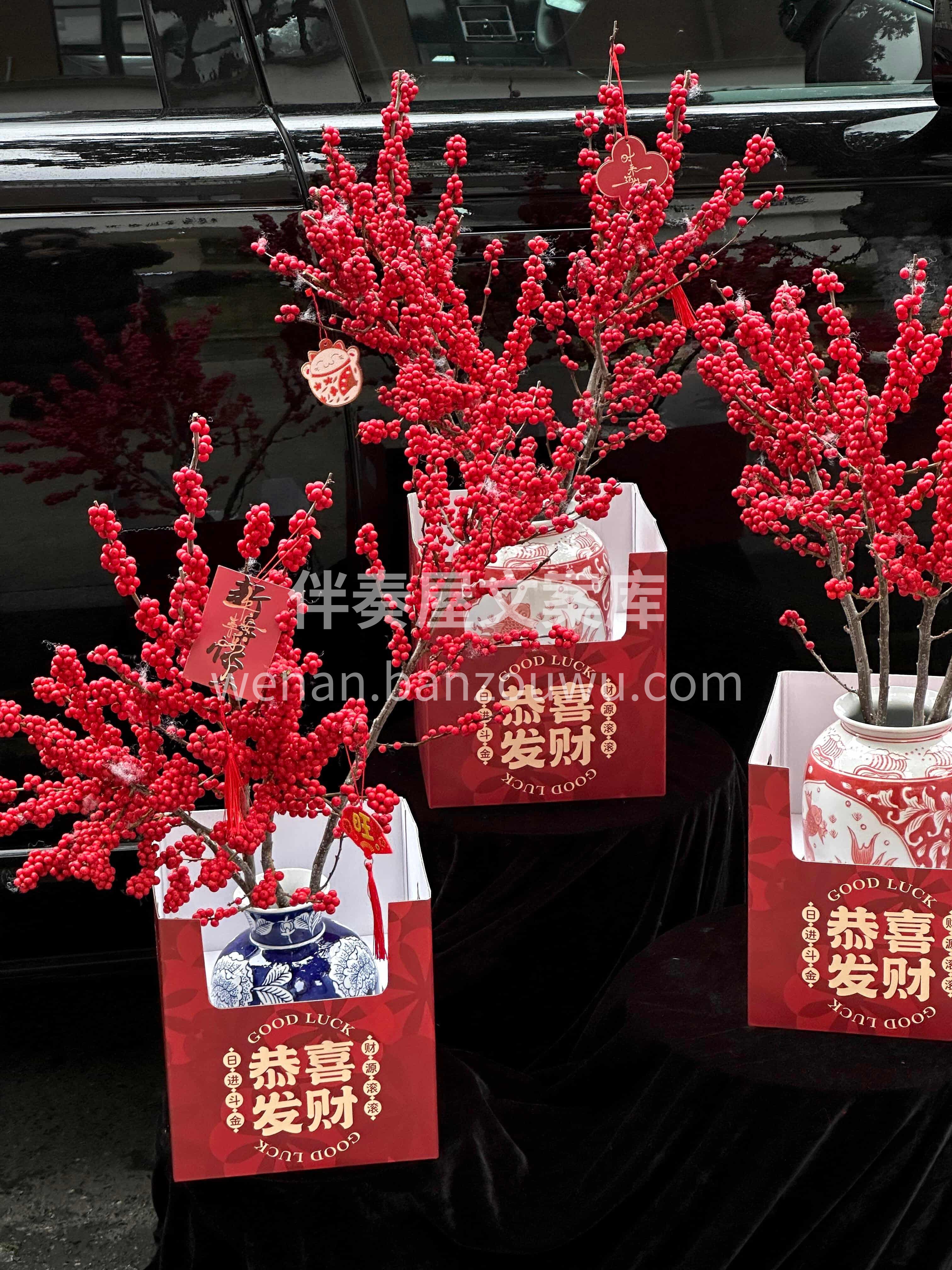 春节瓶花选冬青🔥 ❤️红红火火过大年[烟花] 家宅安康[福] 配图1