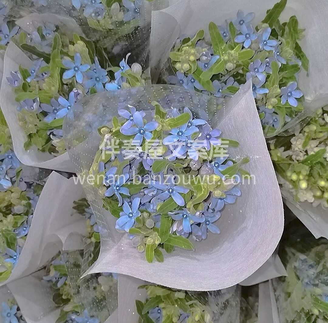 蓝星花花语:大海的深处贩卖着蓝色的孤独， 配图1