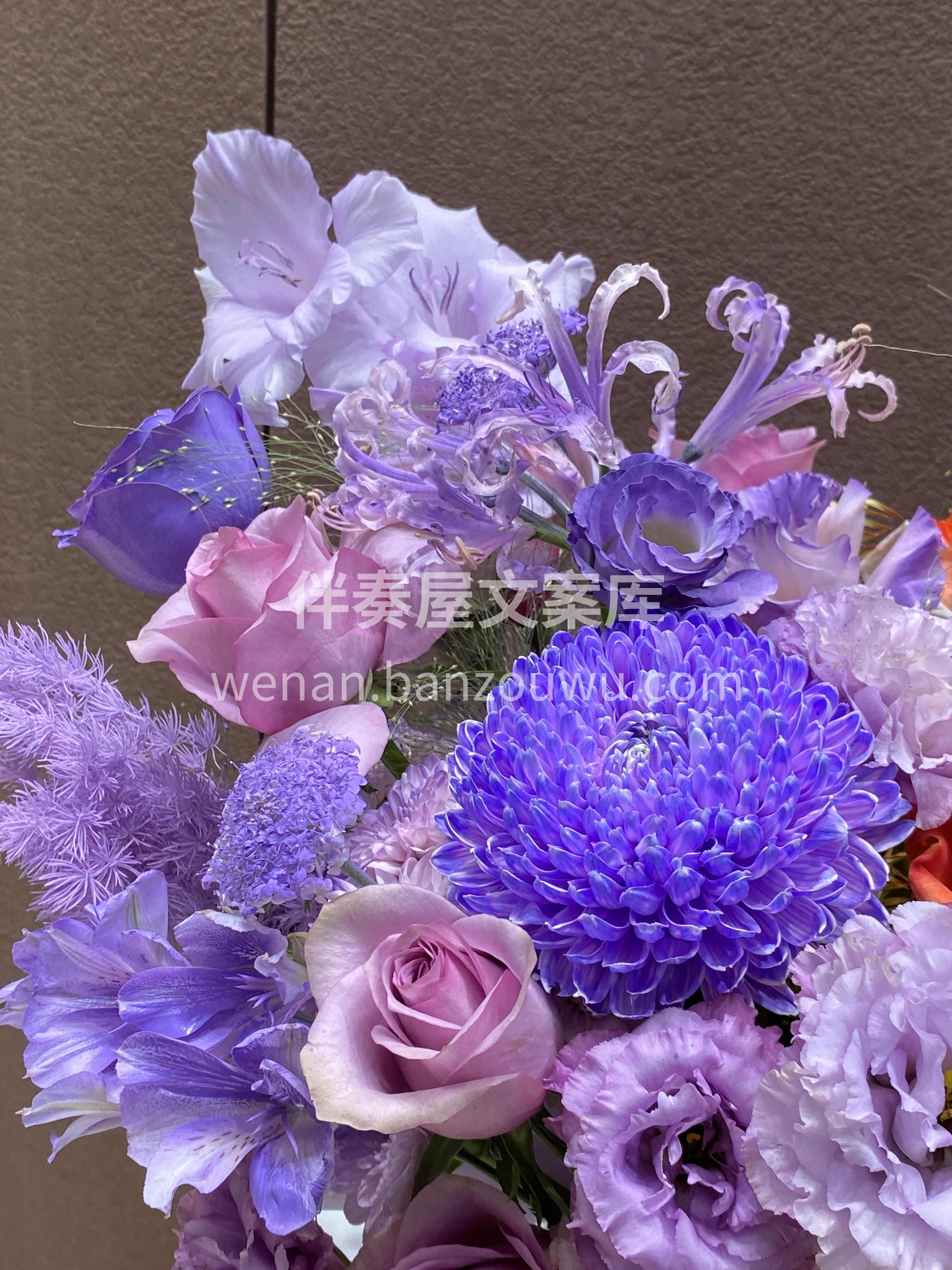 撞色系鲜花抱抱桶 💜 🧡 💜 🧡 💜 🧡 配图2