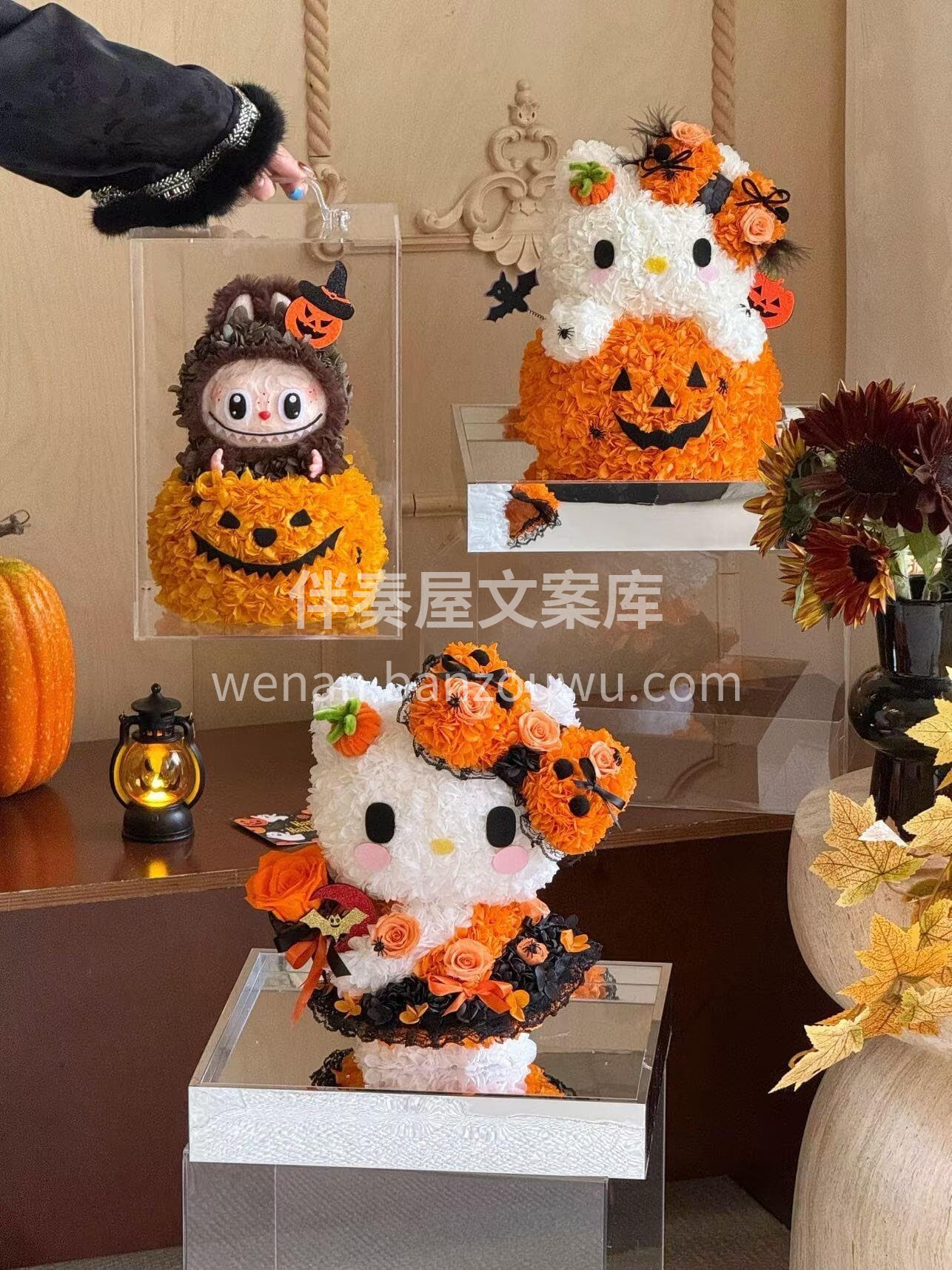 万圣节仪式感拉布布+Kitty猫🐱 永生花款太有氛围感啦🧡好 配图3