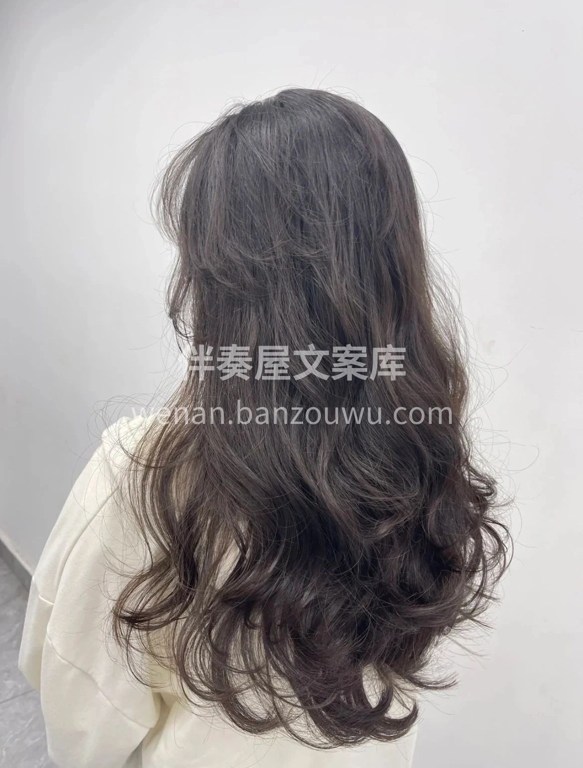 世人都想拯救世界 而我只想拯救你的发型 