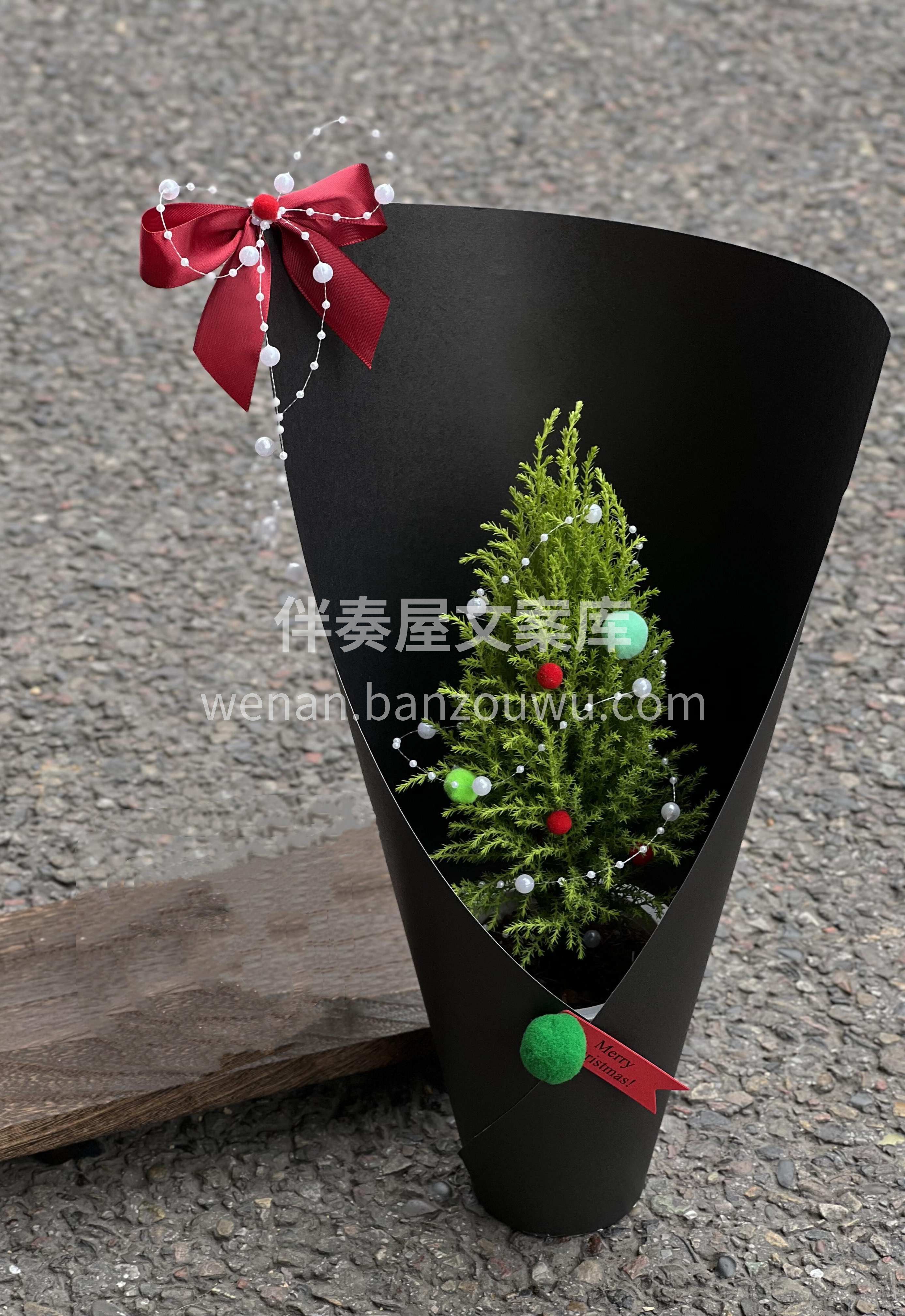 小香松圣诞树🎄鲜活好养🌳 简约而有质感🌿氛围感拉满🍏 配图1