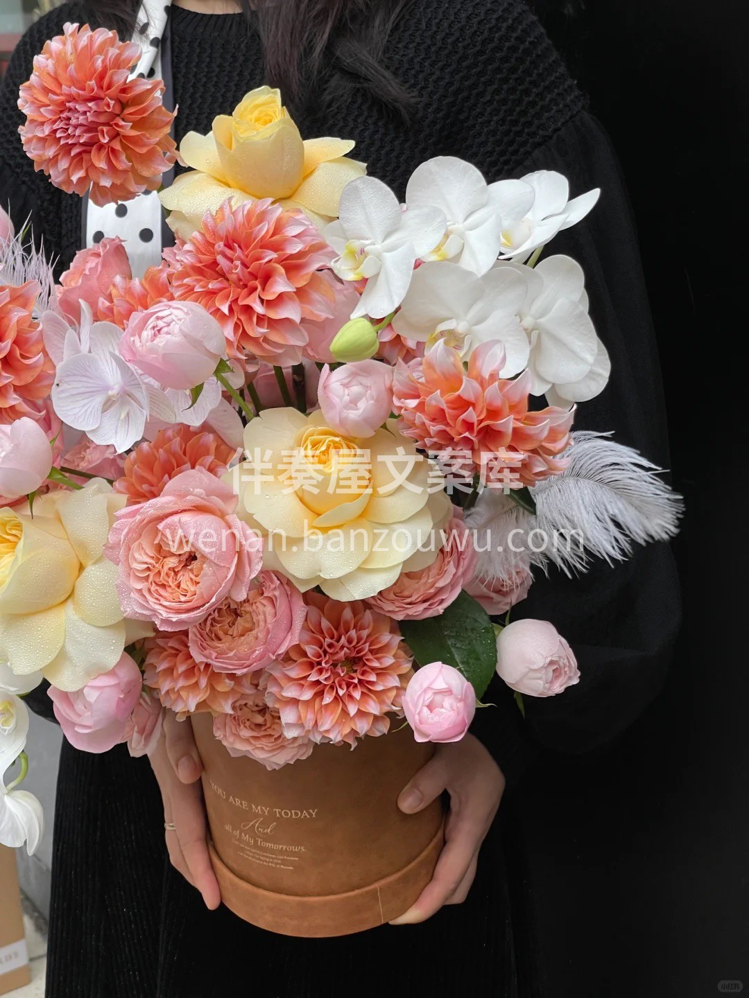 奶油桃子🍑抱抱桶 暖暖的橘粉色调🧡 💛简 配图2