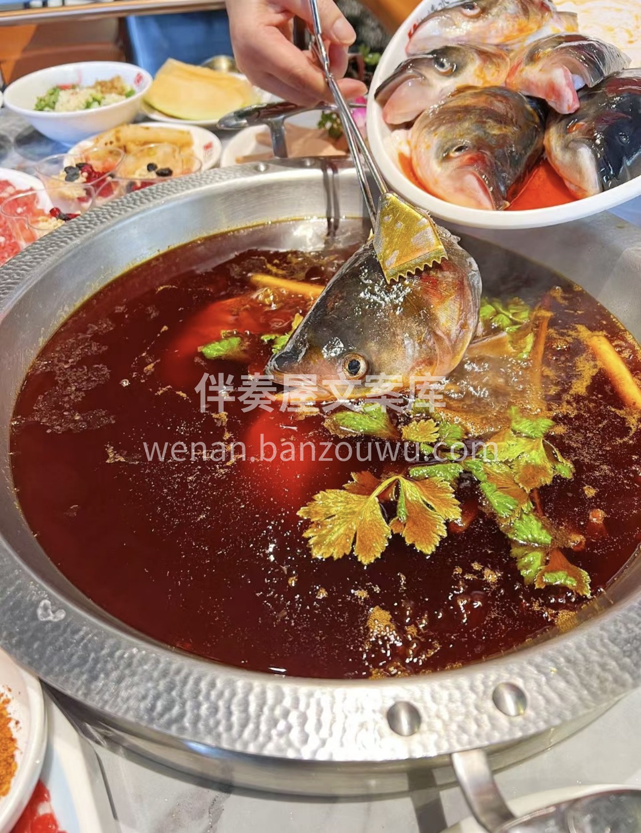 🐟鱼头火锅，鲜美的代名词！🤩 🥘 现杀的 配图3