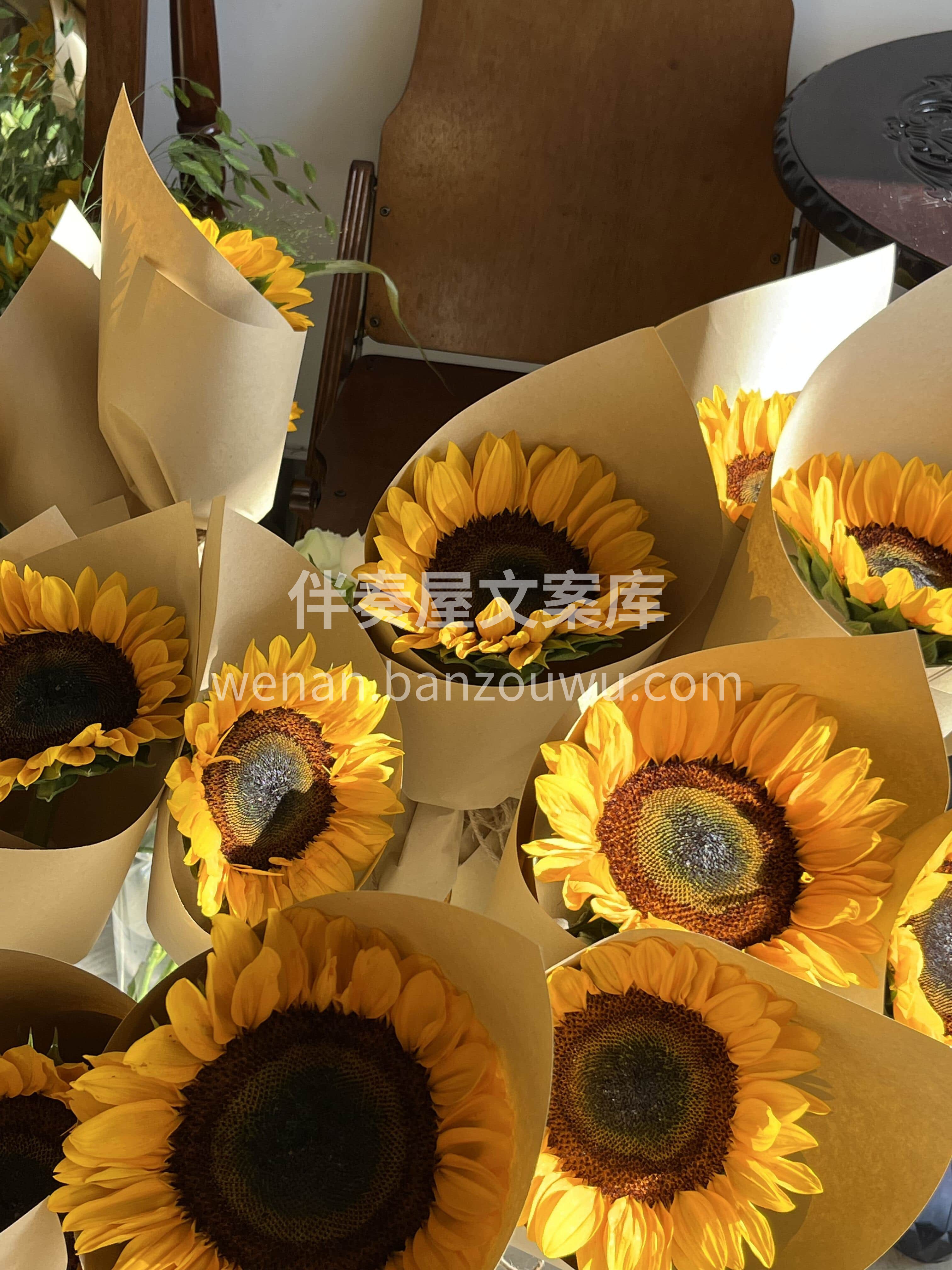 教师节单支向日葵🌻 小小的一支也可以做到很精致☀️ 配图2
