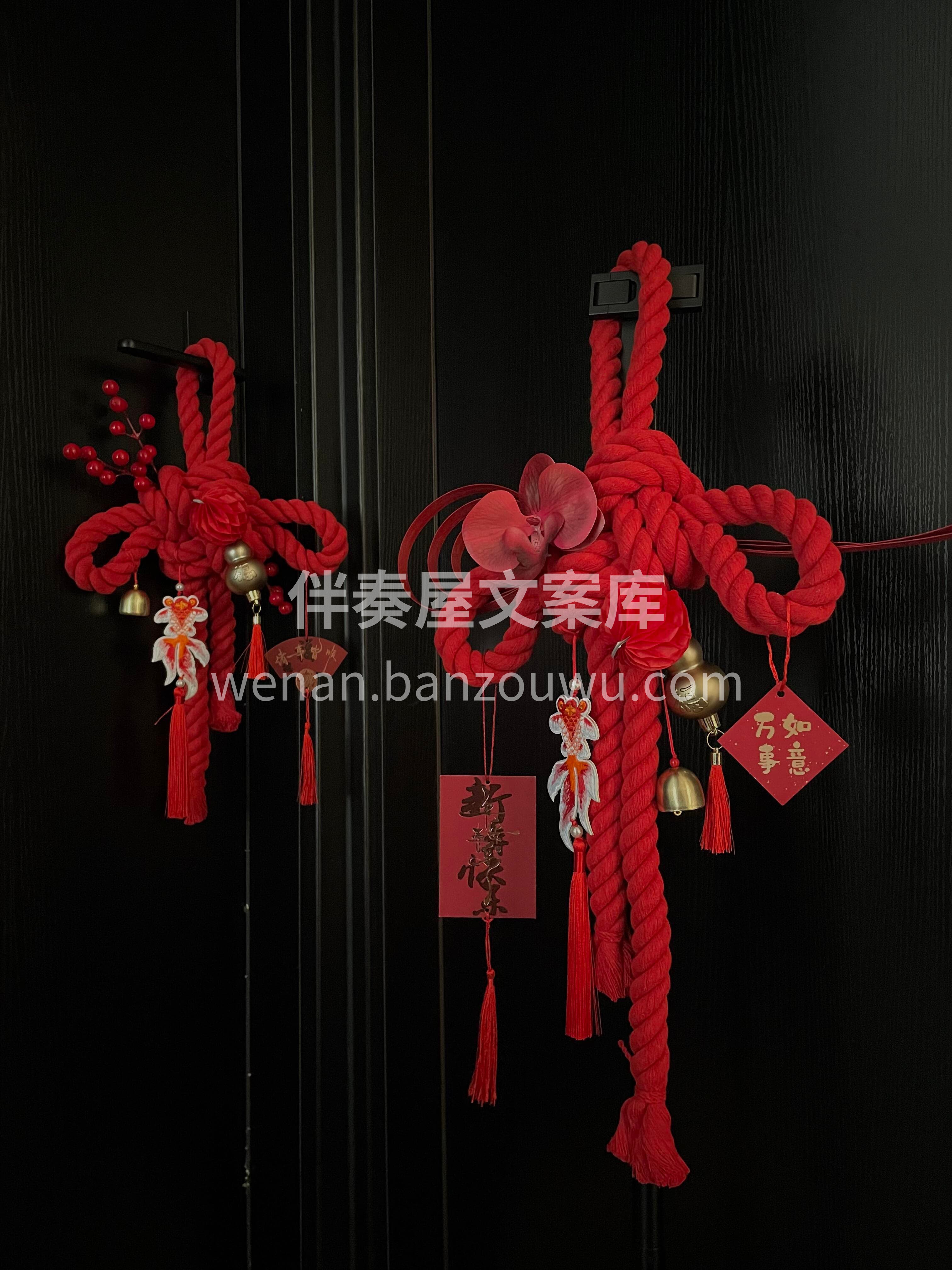 锦鲤跃龙门🐟福运踏春来[爆竹] 挂上门挂🎀愿你新的一年前路坦 配图3