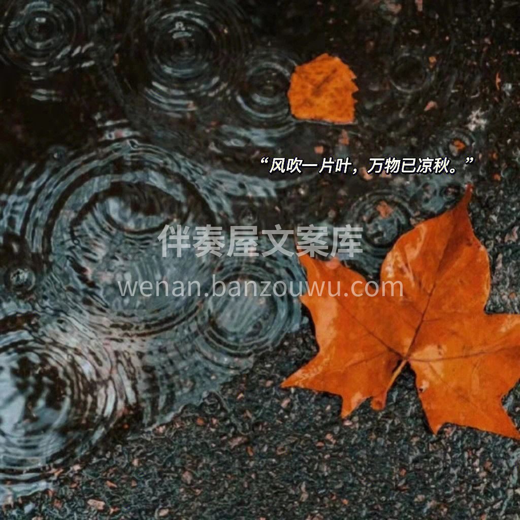 为什么秋风起，头发落？ 因为秋分过后，气
