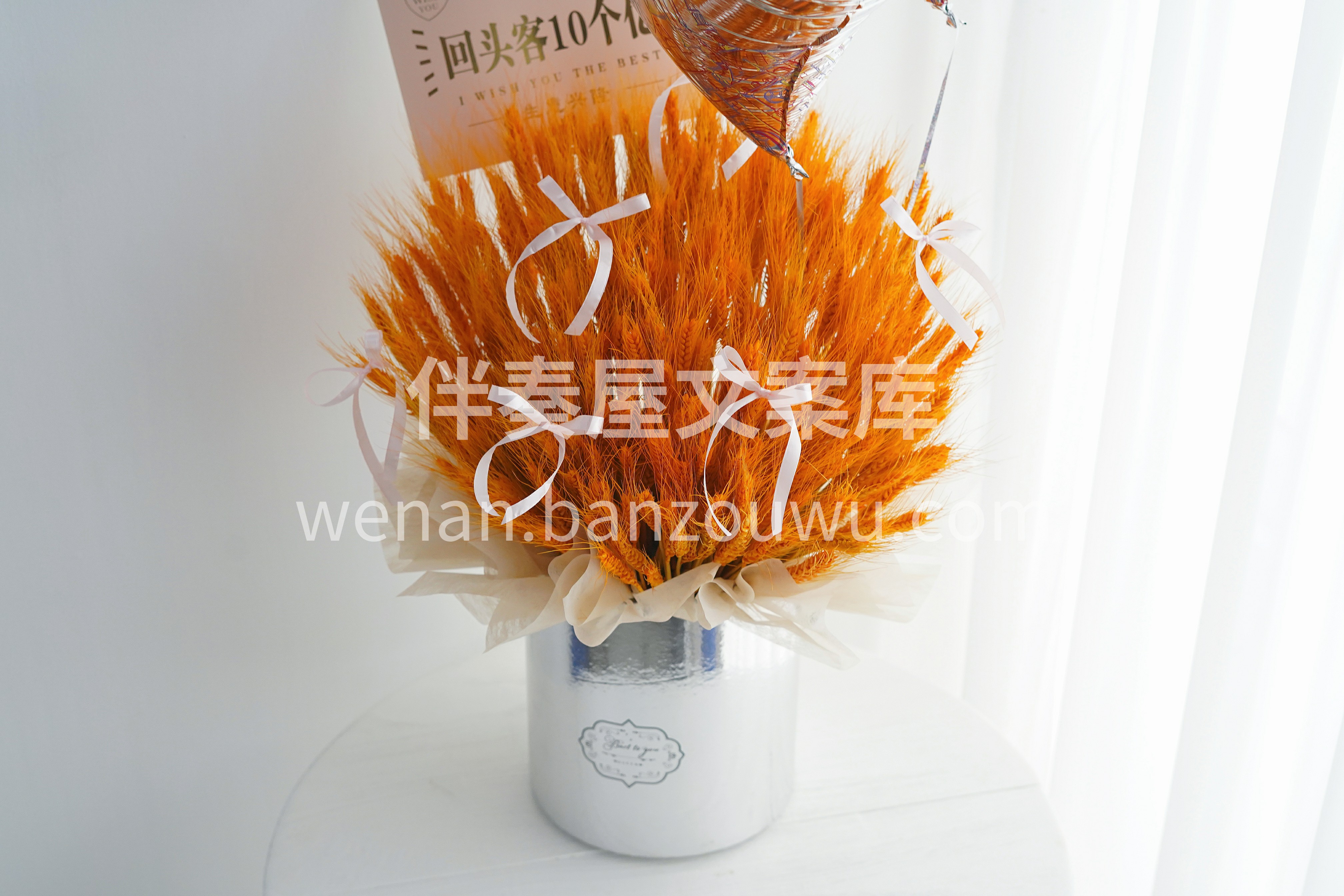 开业送什么👀 没有比大麦更合适了的吧 大气好看还不占地的抱抱 配图1