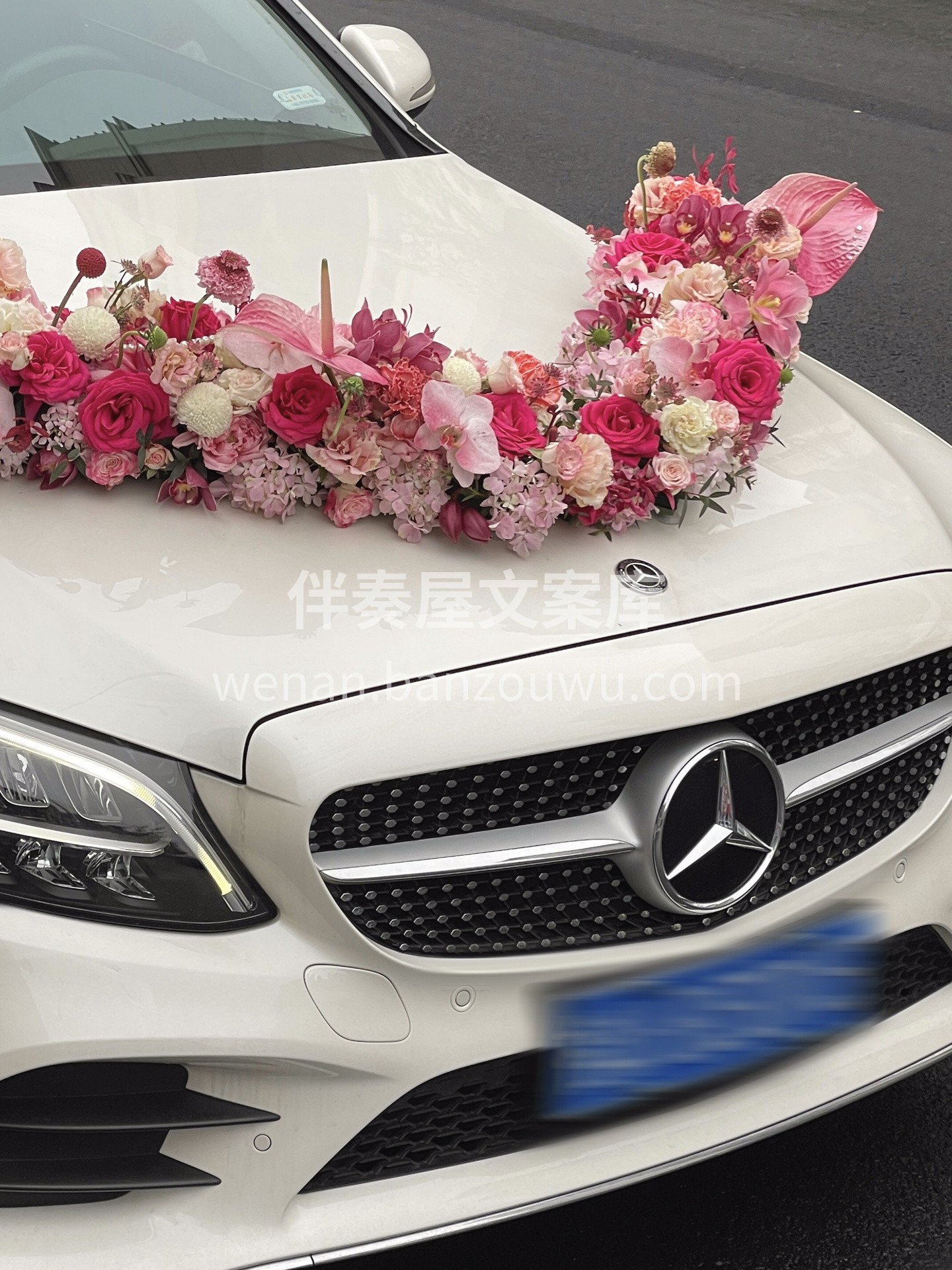 桃红色系婚车手捧 这个色系真的绝绝子 满 配图1