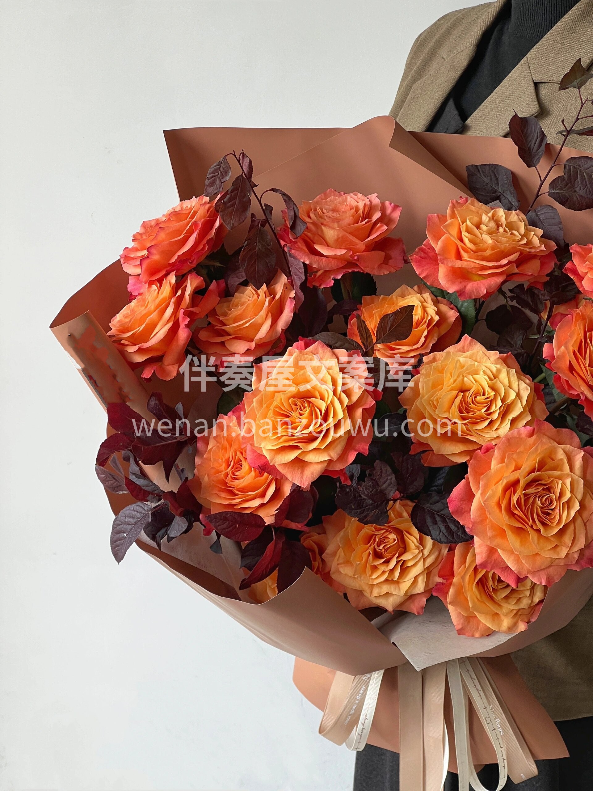 火灵鸟橙黄色系🏵 心花怒放🌸 见花如我  配图3