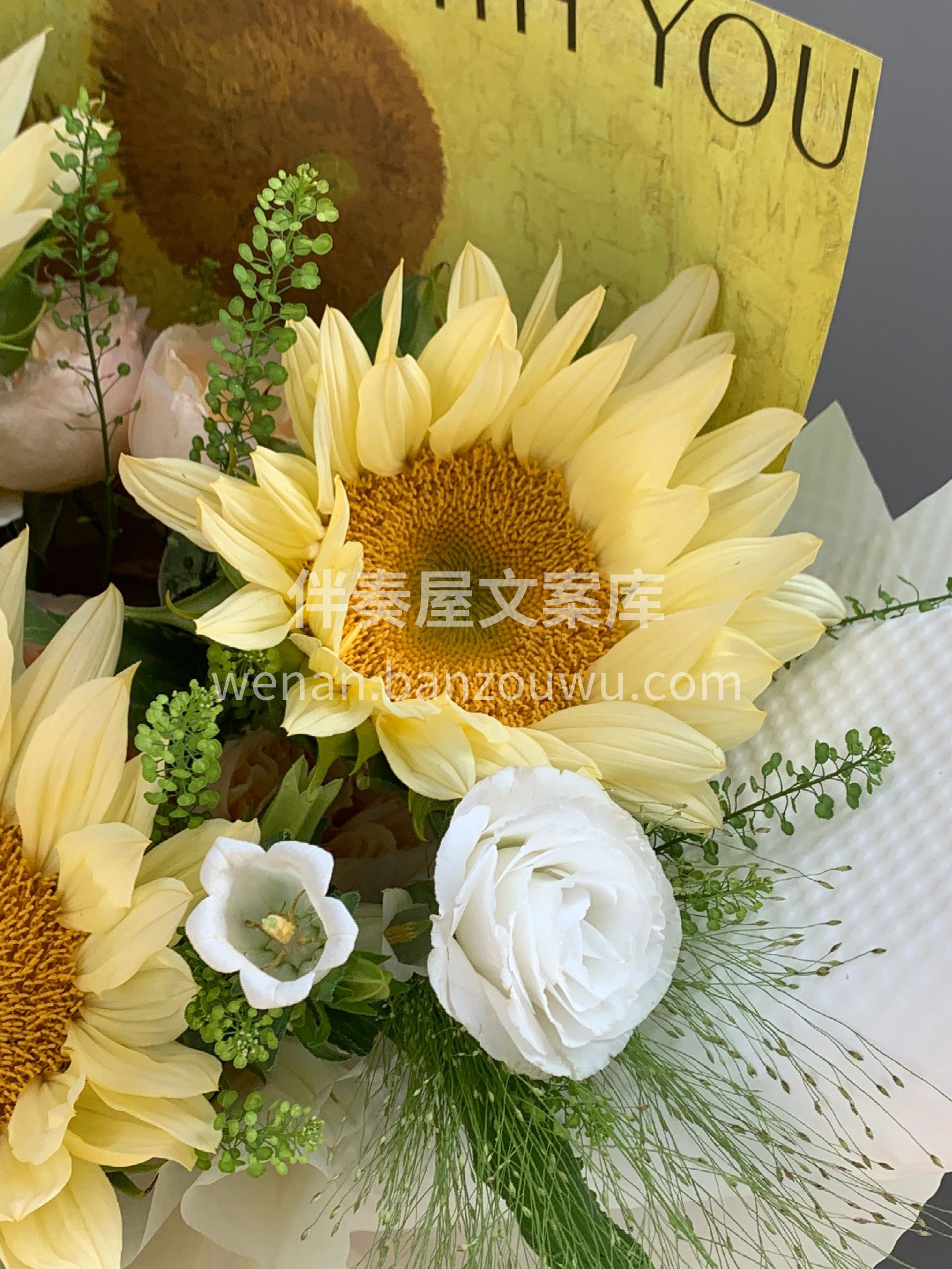 毕业季花束💐 对比普通的向日葵🌻奶油向日 配图1