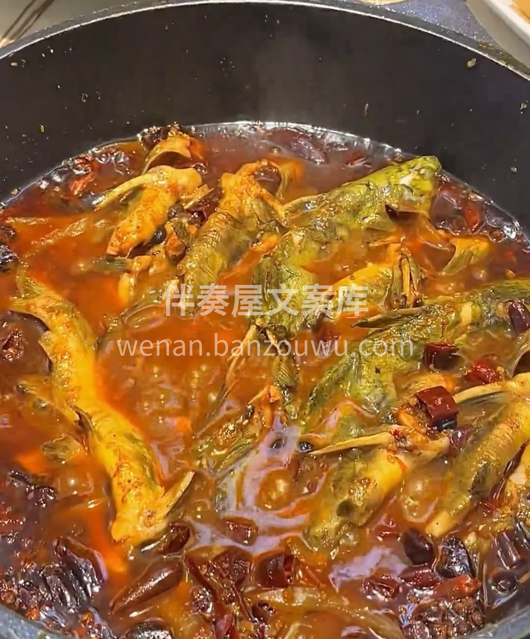 黄拉丁鲜鱼锅 活鱼现杀！！每一条鱼都鲜活 配图3