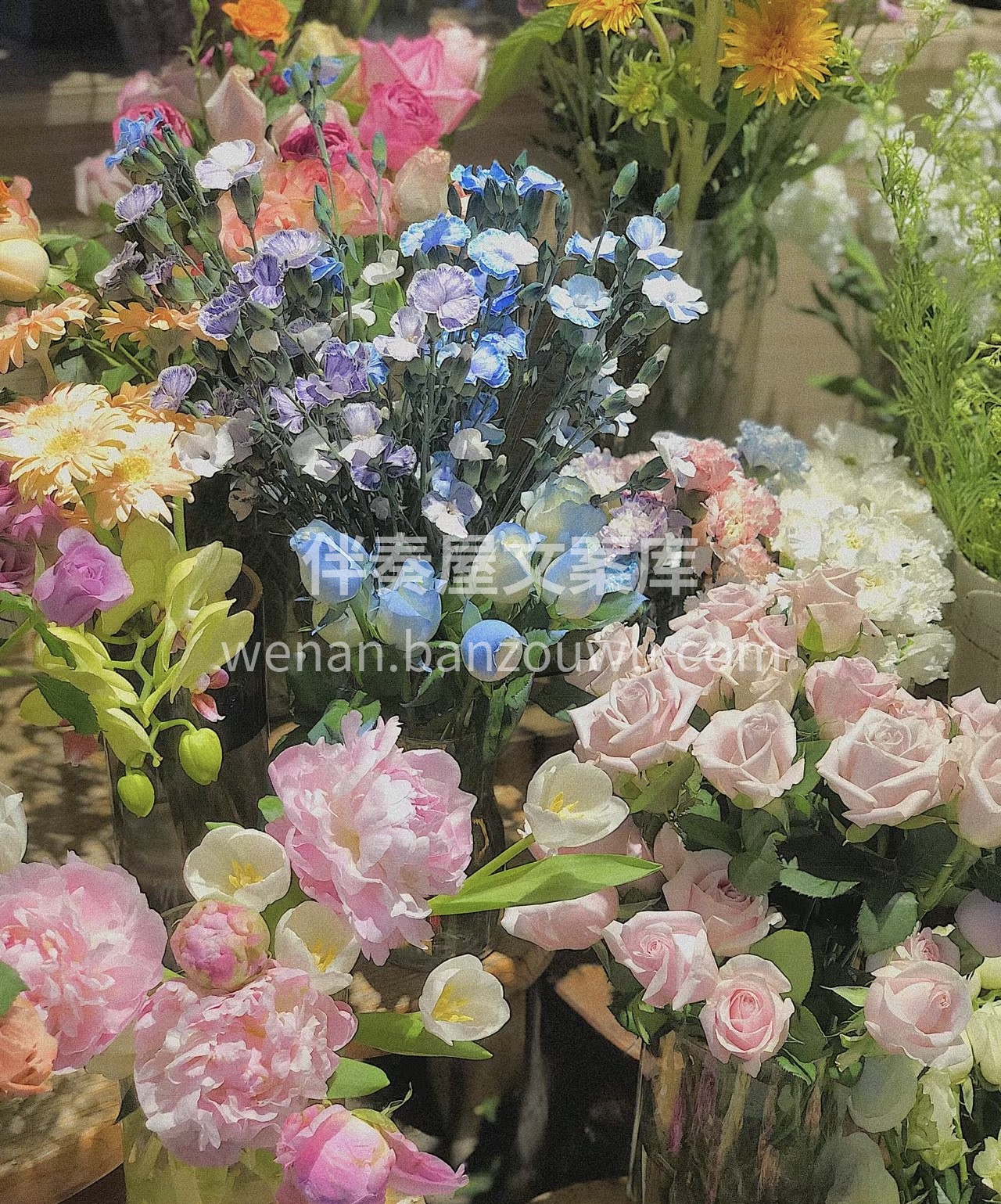 将你的感情溶解在一花一叶中 我们的花店愿 配图1