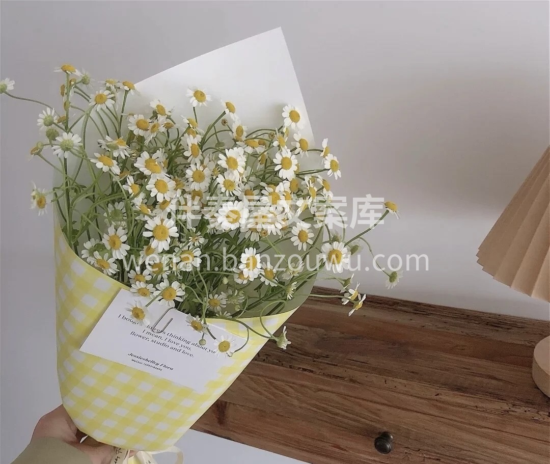 小菊花的花朵娇小可爱，花茎短小笔直，如同 配图1
