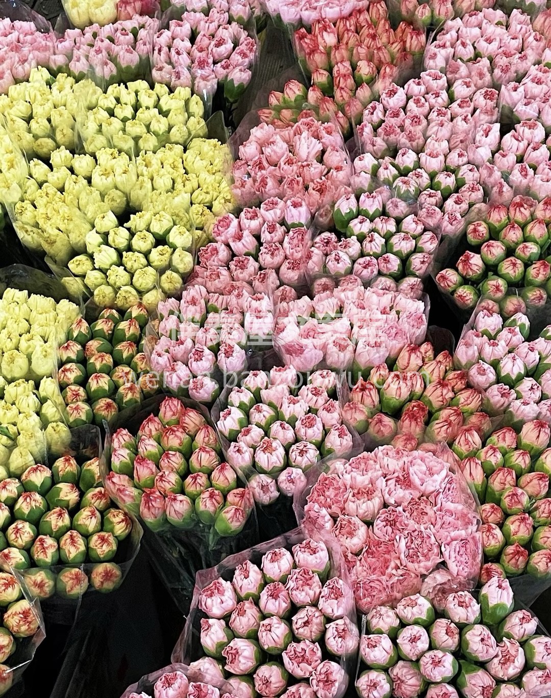 送她一束花吧，用一束花讲述一个浪漫的故事.我的意思是买花找我 配图5