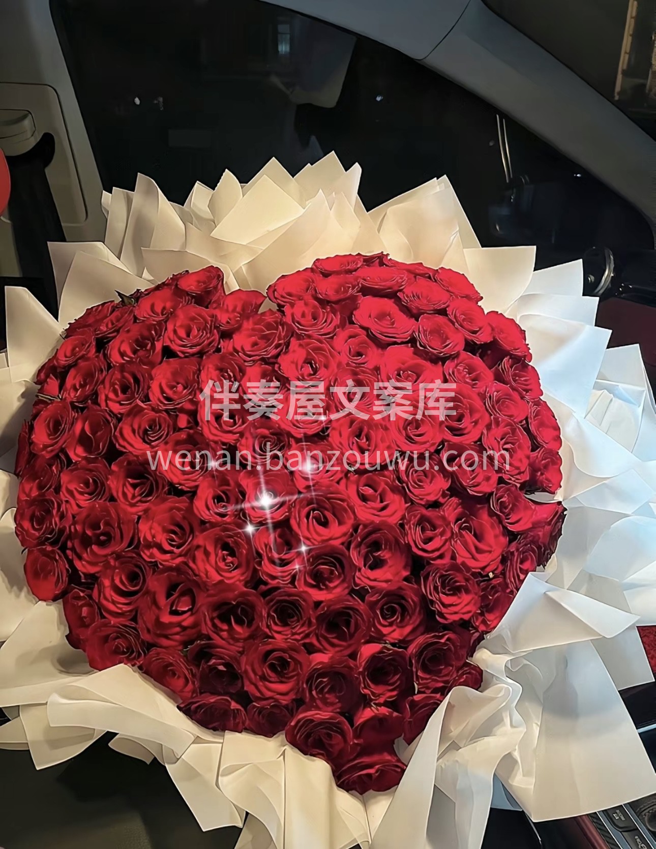 你给她转520她可能记不了多久，但是你如 配图1