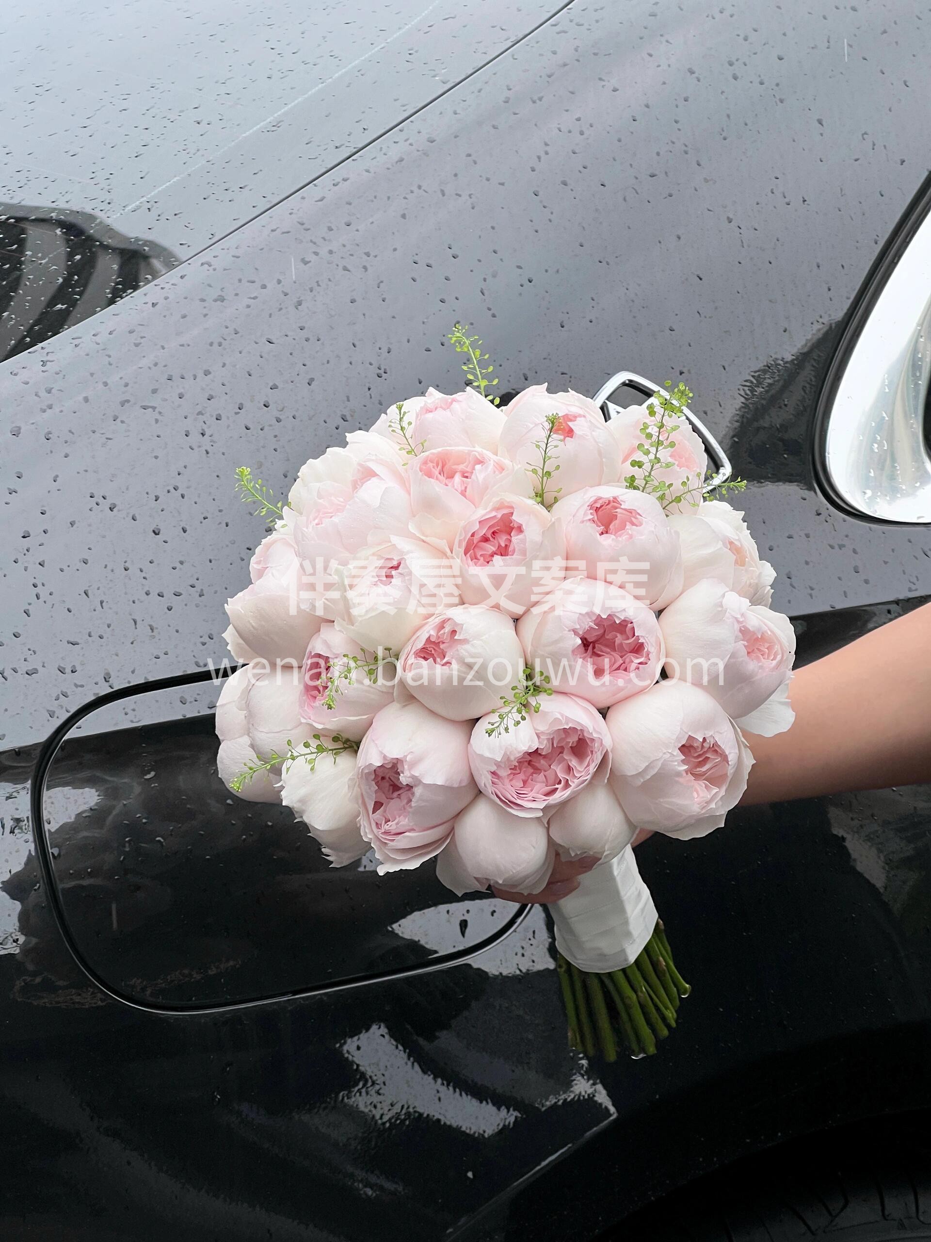 可爱瓷玫瑰手捧🌸 圆嘟嘟的超可爱 🎀 小众又高级 🌷它的魅力 配图2