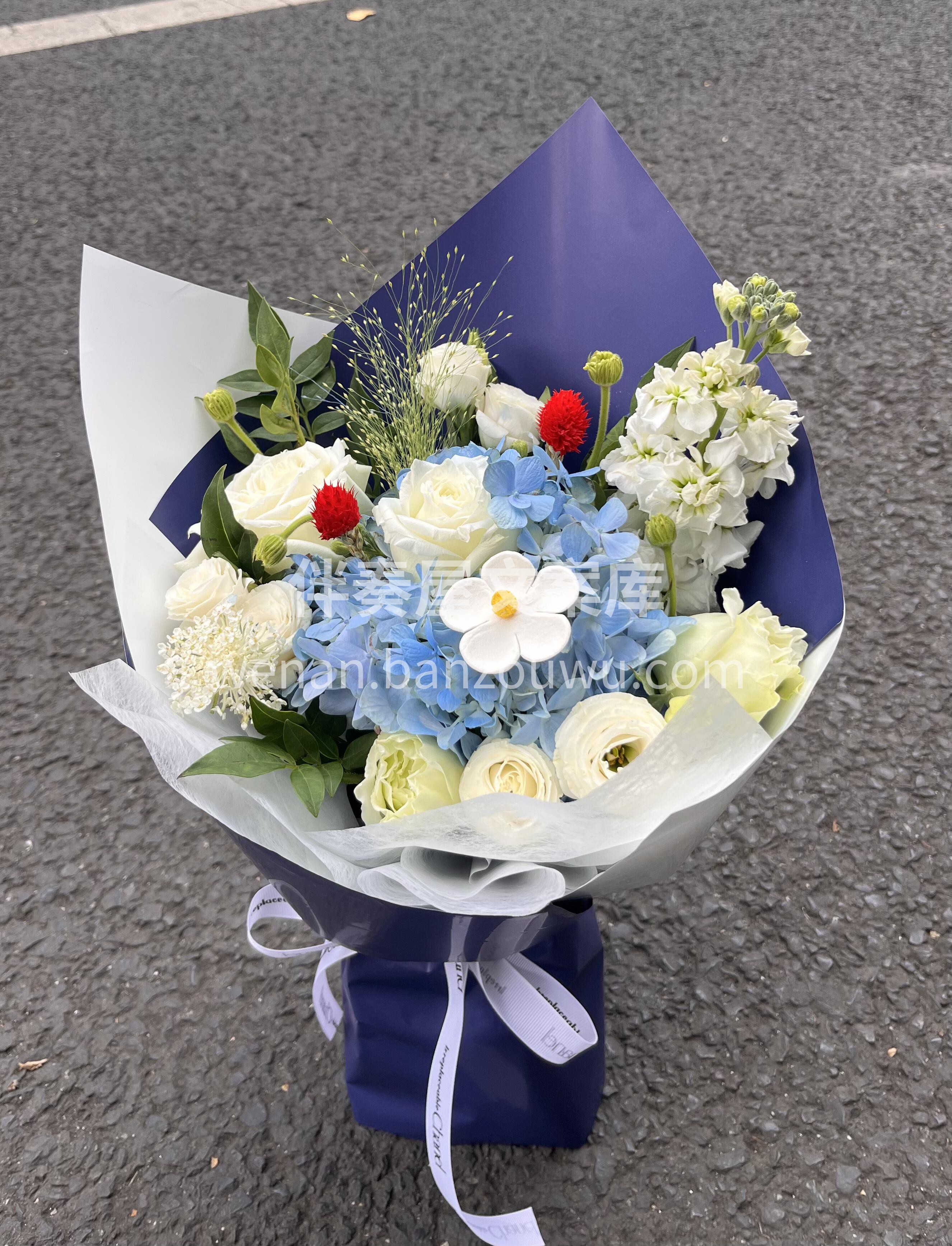 蓝色小花束💐 蓝调的💙浪漫 是我给你的专 配图2
