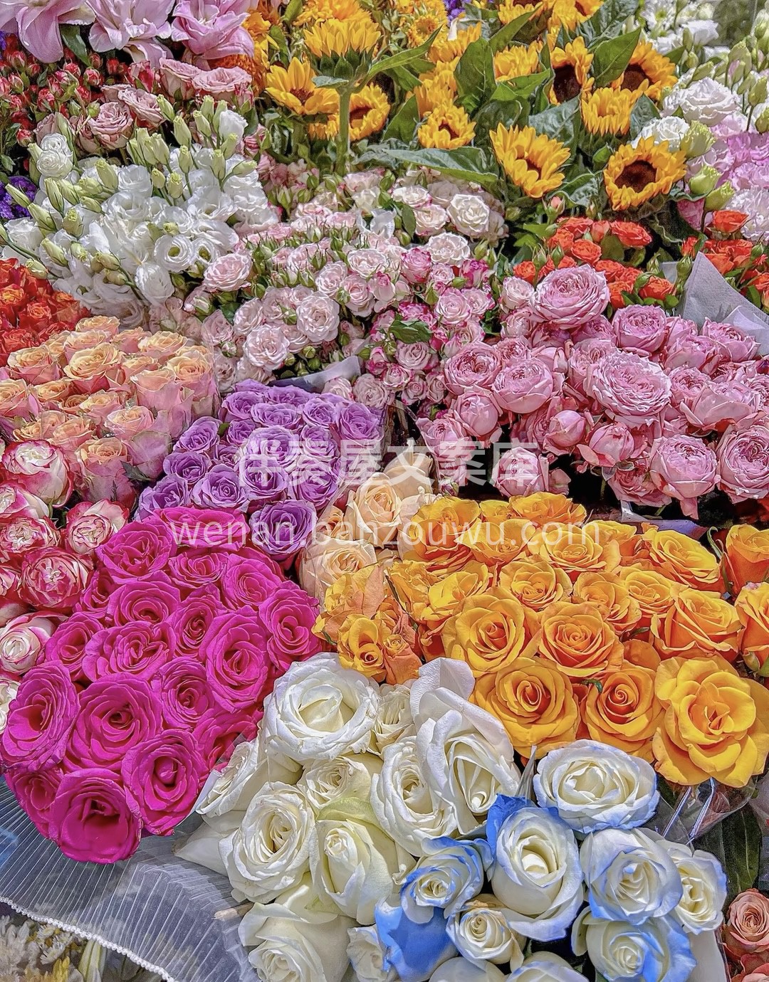 • 赏花是春日幸事 • 喜欢鲜花 喜欢浪 配图2