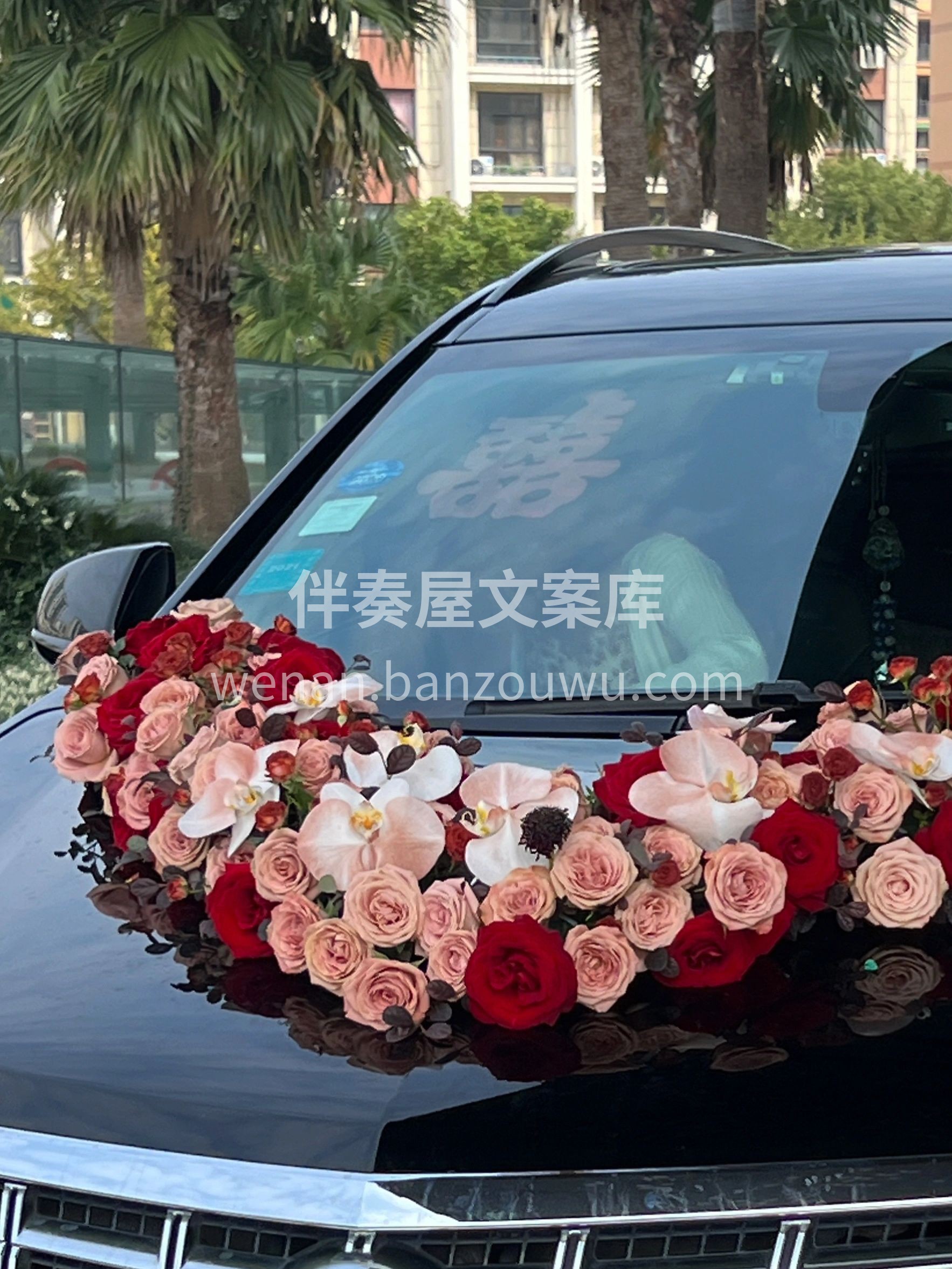满满的玫瑰🌹 红玫瑰搭配复古卡布奇诺 低 配图1
