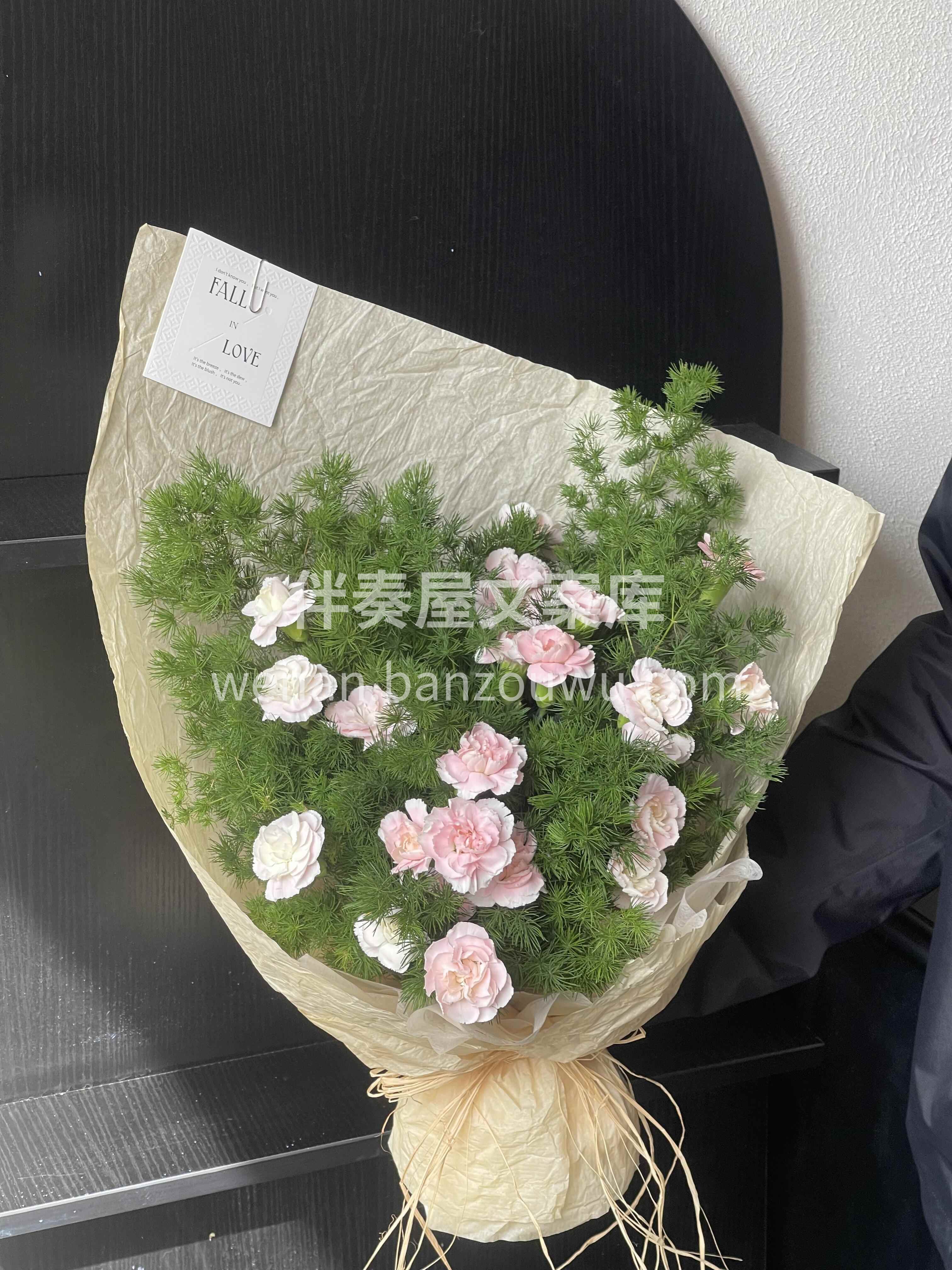 蓬莱松的美🌿是藏在枝叶里的温润与坚韧🌸 松针细密舒展🌱自带松 配图1