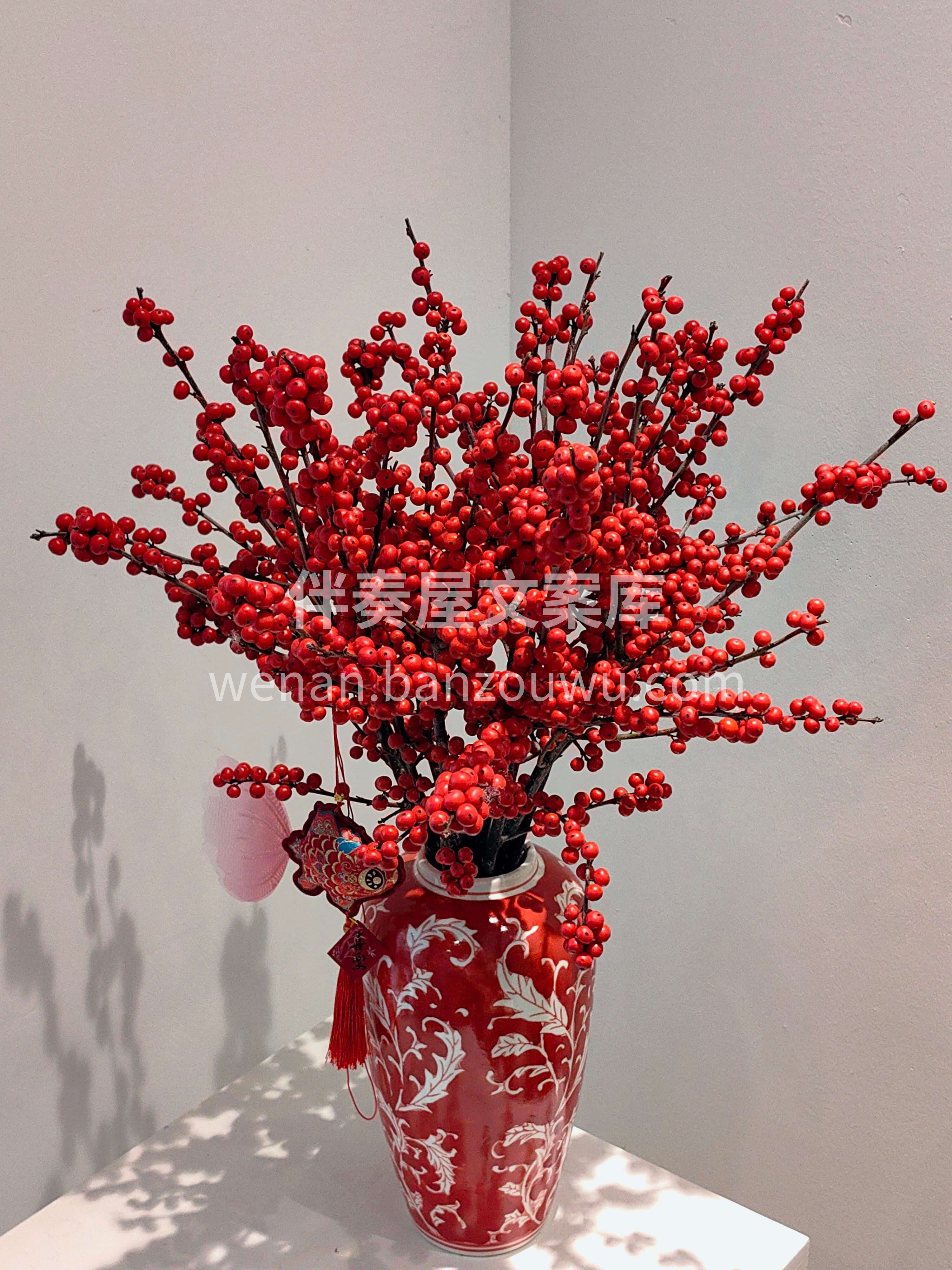冬青纳福❤️红果迎春[福] 红瓶盛着好彩头[庆祝] 新年的氛 配图2