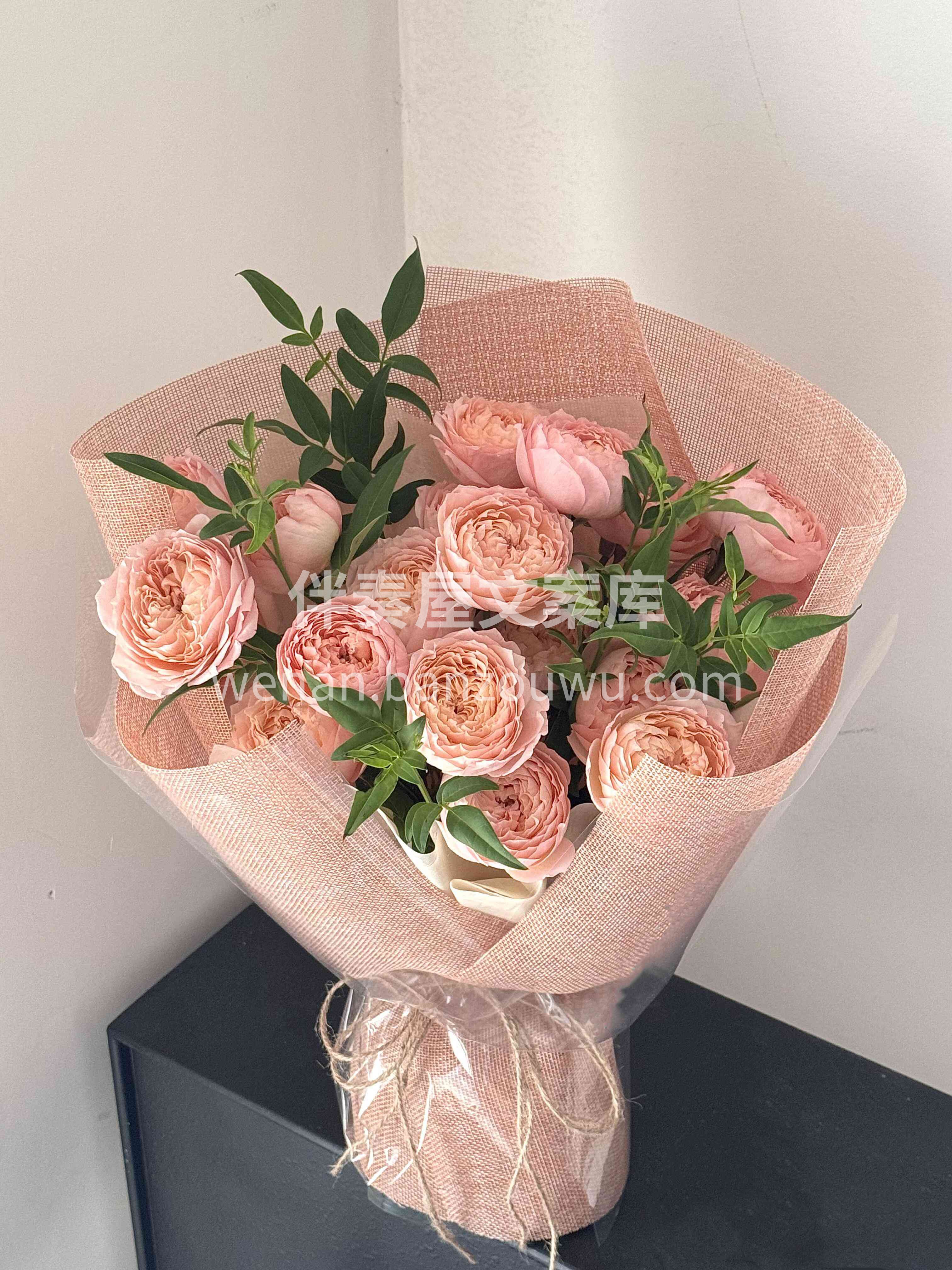 罗密欧的玫瑰“朱丽叶塔”🌸 橘粉色朱丽叶塔 像极了落日西下的 配图1