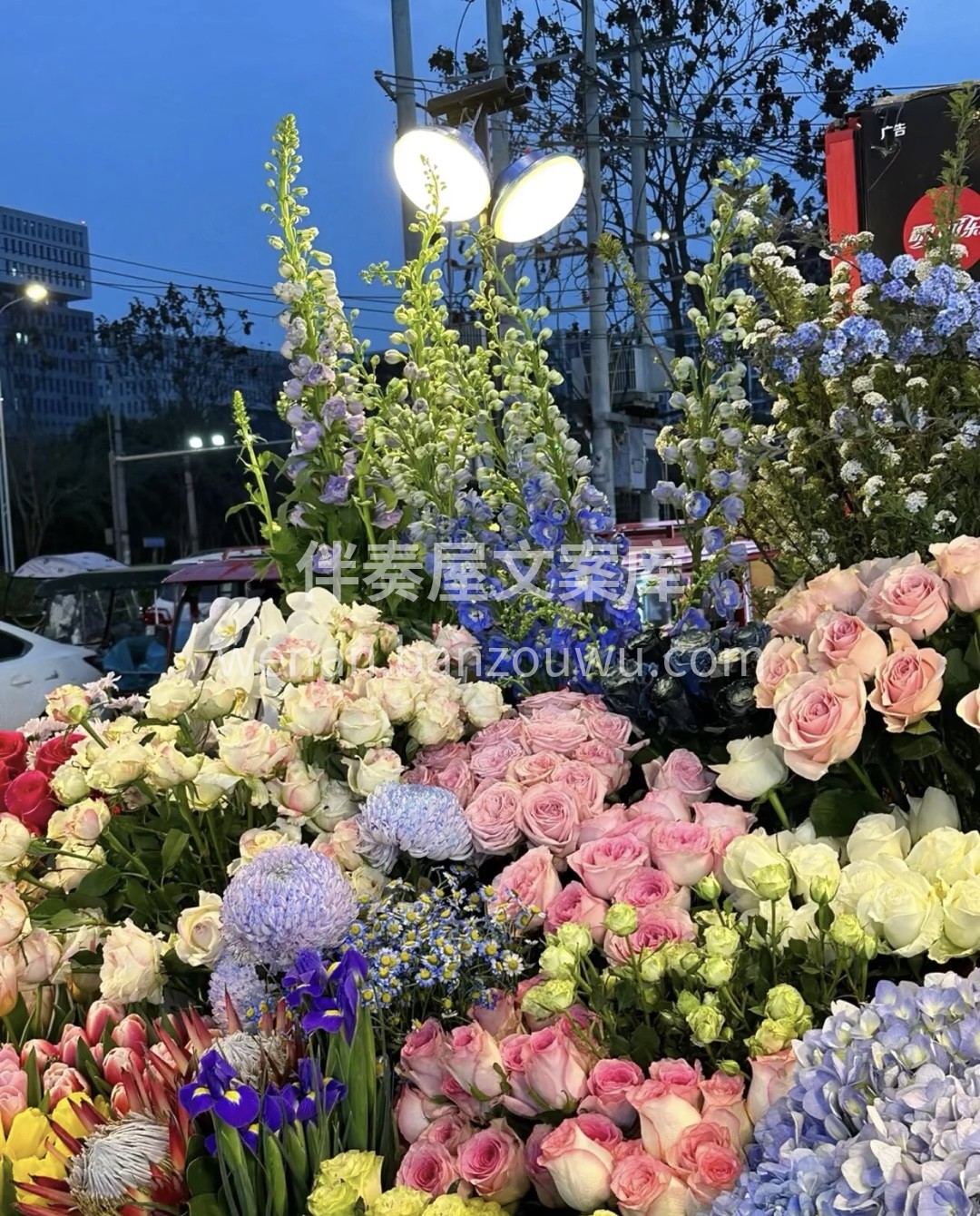 我把好运藏在花里，愿它给你带来幸运与欢愉 配图2