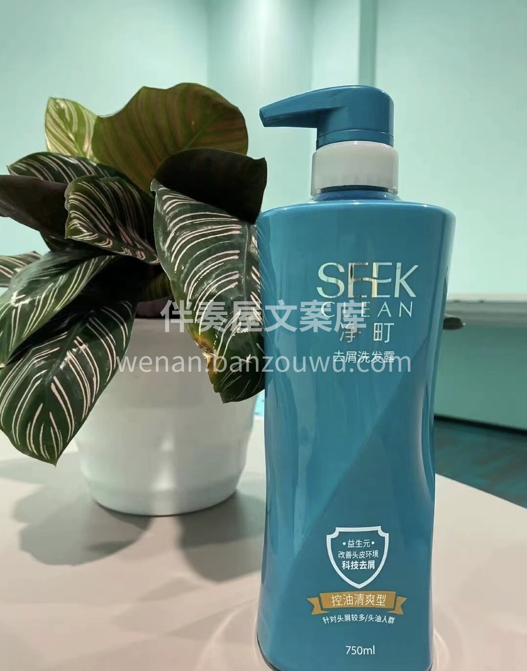 ? 全网吹爆的去屑洗发水来了? ? 净町 配图1
