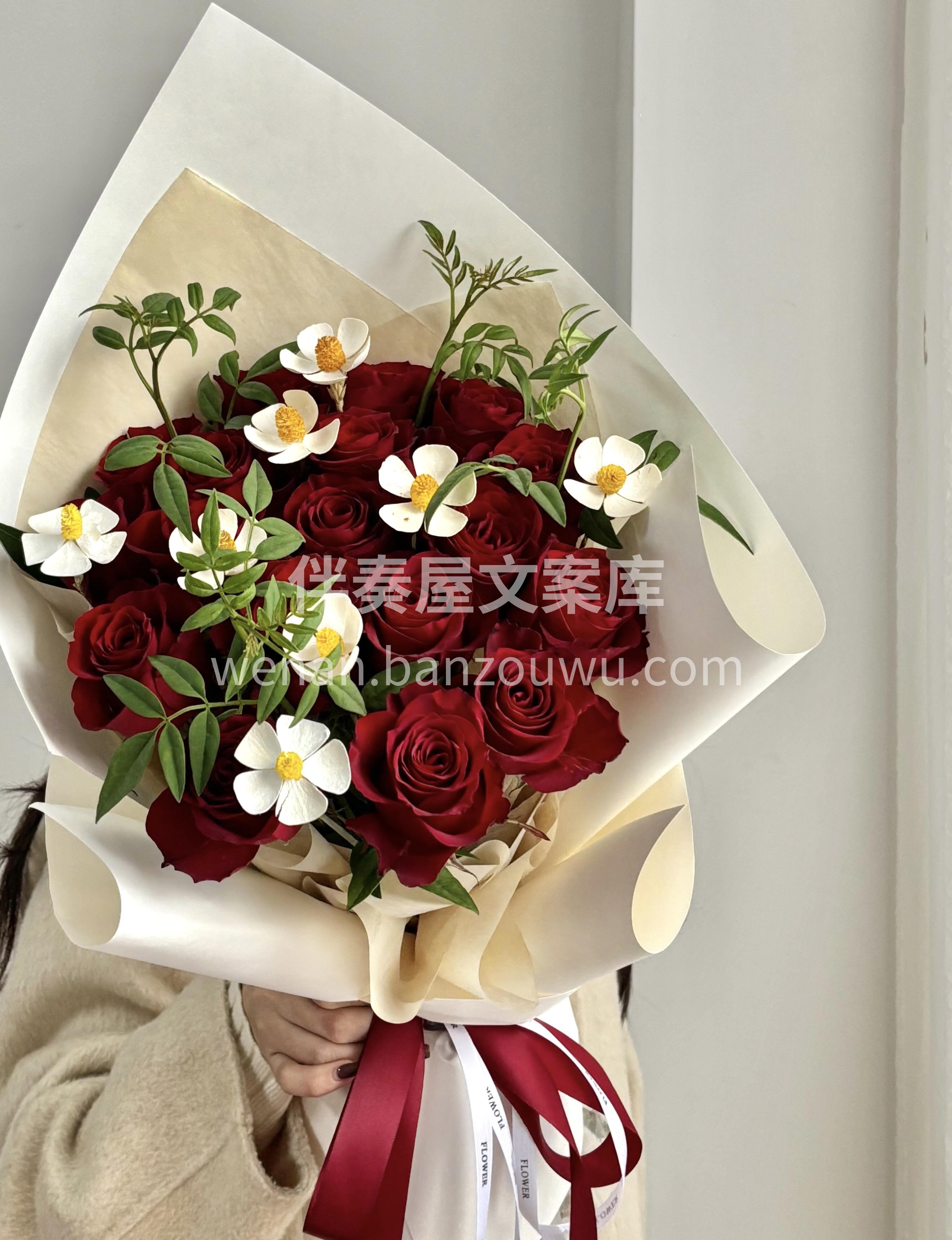情人节简约红玫瑰花束 🌹玫瑰不会说话 但它的静默在表达 “玫 配图2