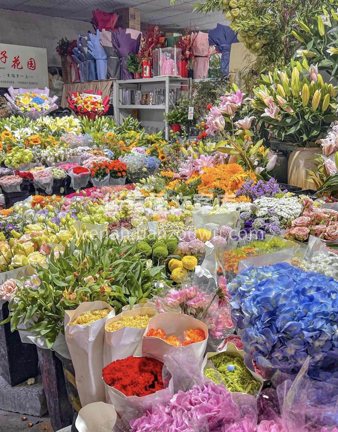 • 赏花是春日幸事 • 喜欢鲜花 喜欢浪 配图3