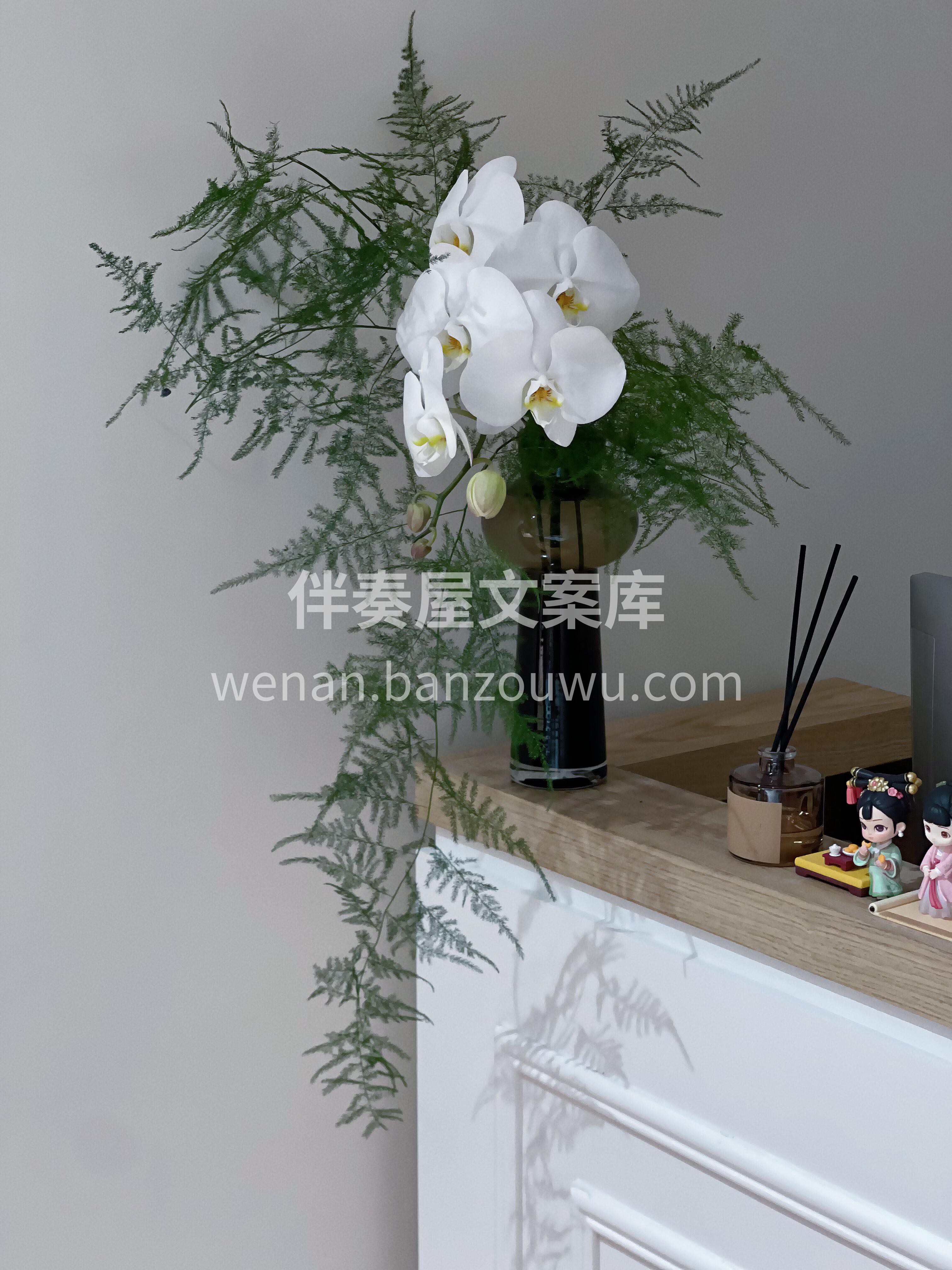一遍又一遍爱上家里的每个角落😘 也许是不同的🌸鲜花 带来了治 配图2