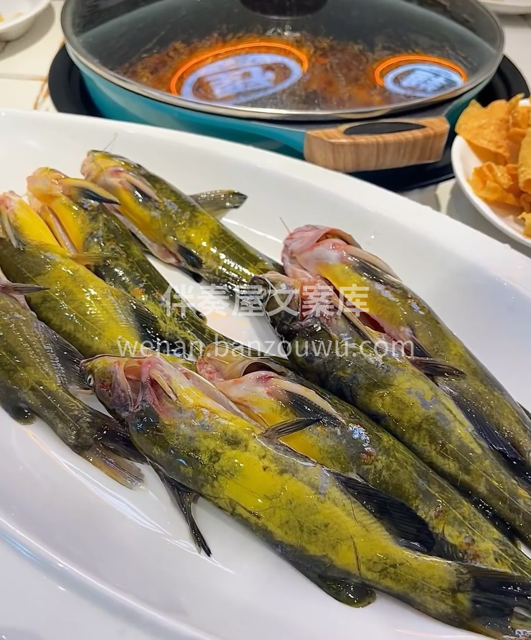 黄拉丁鲜鱼锅 活鱼现杀！！每一条鱼都鲜活 配图1