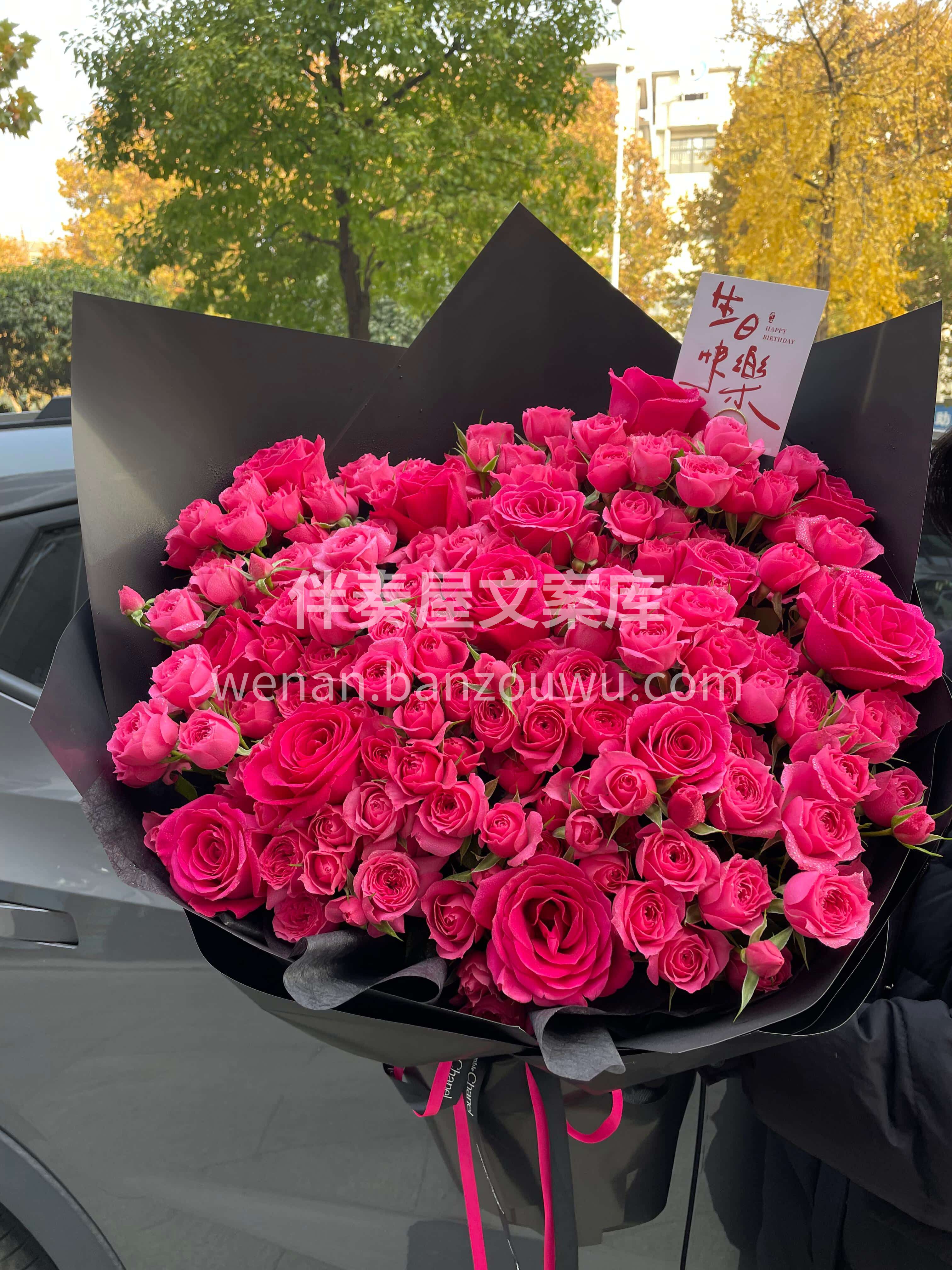 高饱和的浪漫🌸也可以很温柔🌷 苏菲宝贝搭配弗洛伊德💕让热烈变 配图3