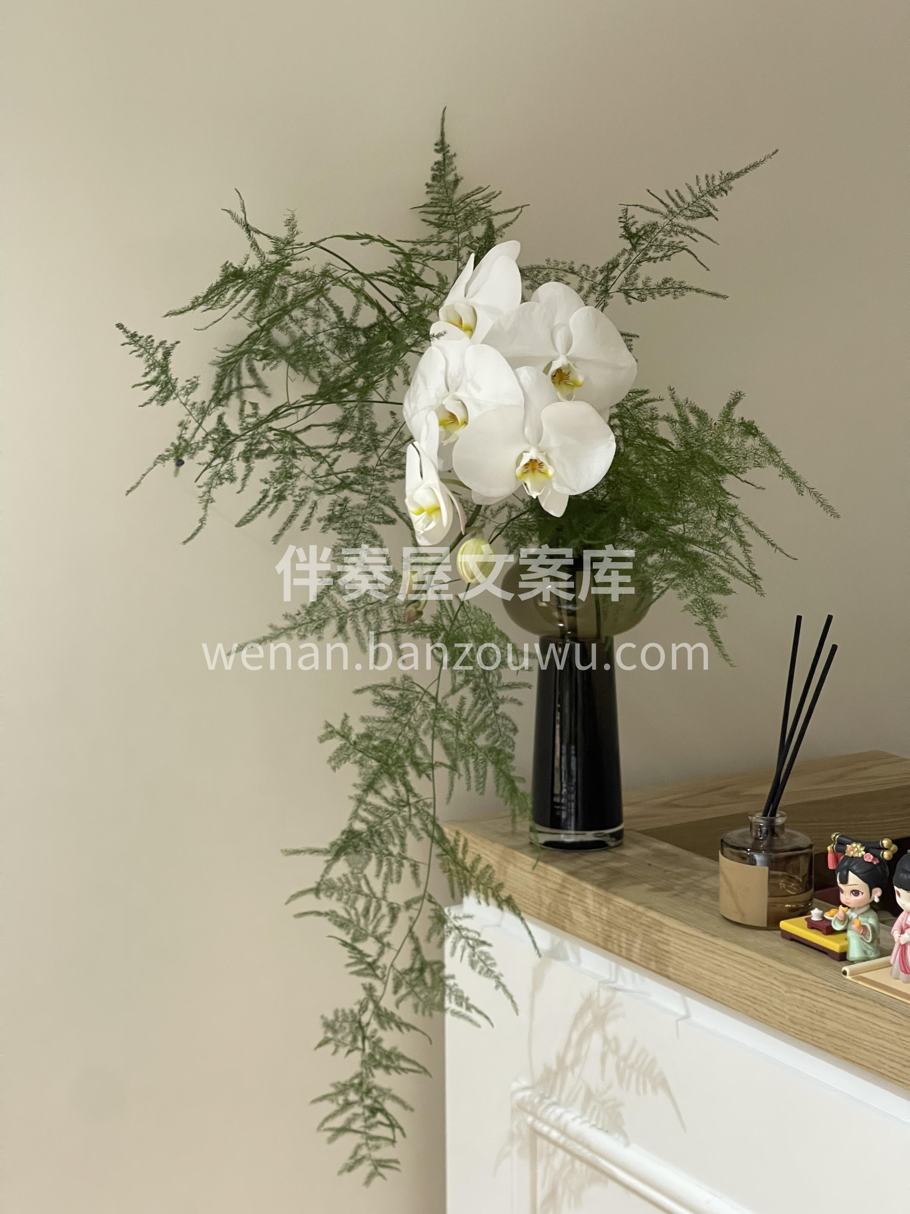 一遍又一遍爱上家里的每个角落😘 也许是不同的🌸鲜花 带来了治 配图1