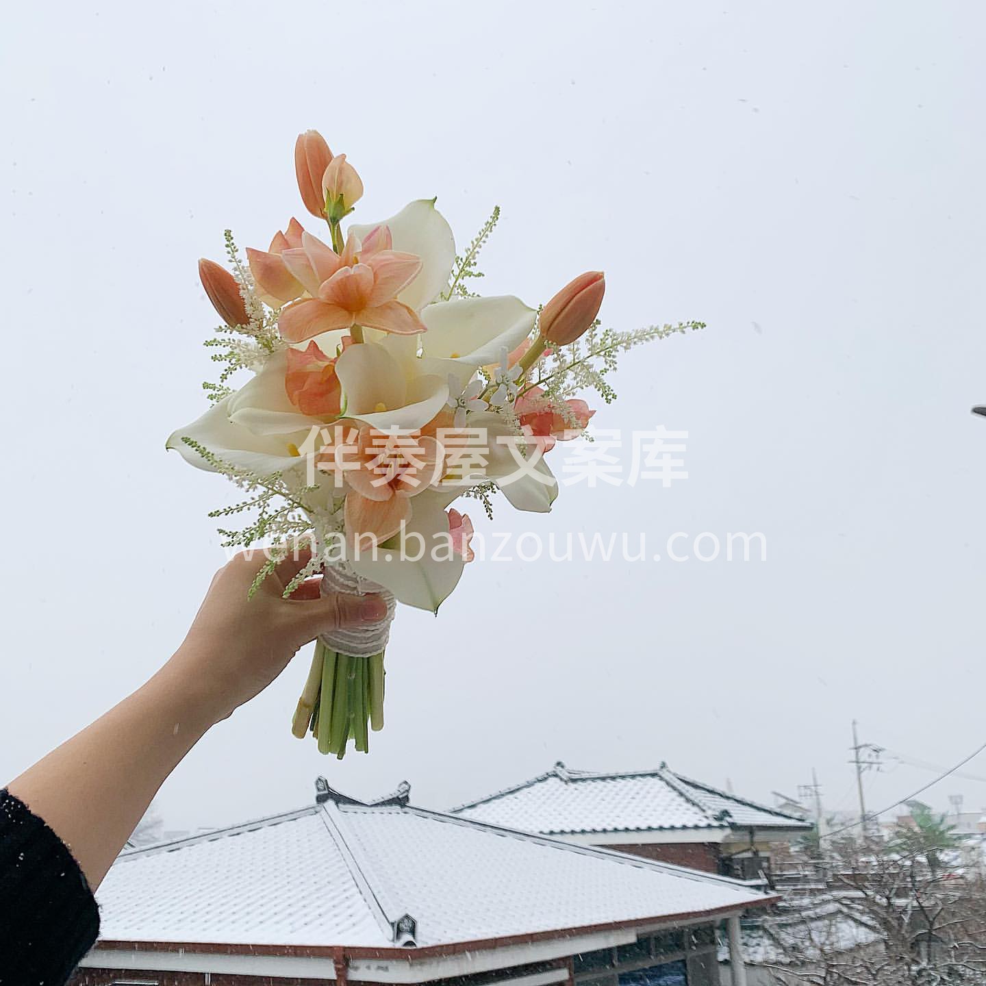 韩式小清新手捧 韩式的鲜花小手捧最近深得 配图2