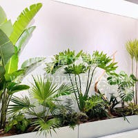 绿植组合布景设计 整体造型简洁美观，新颖 配图1