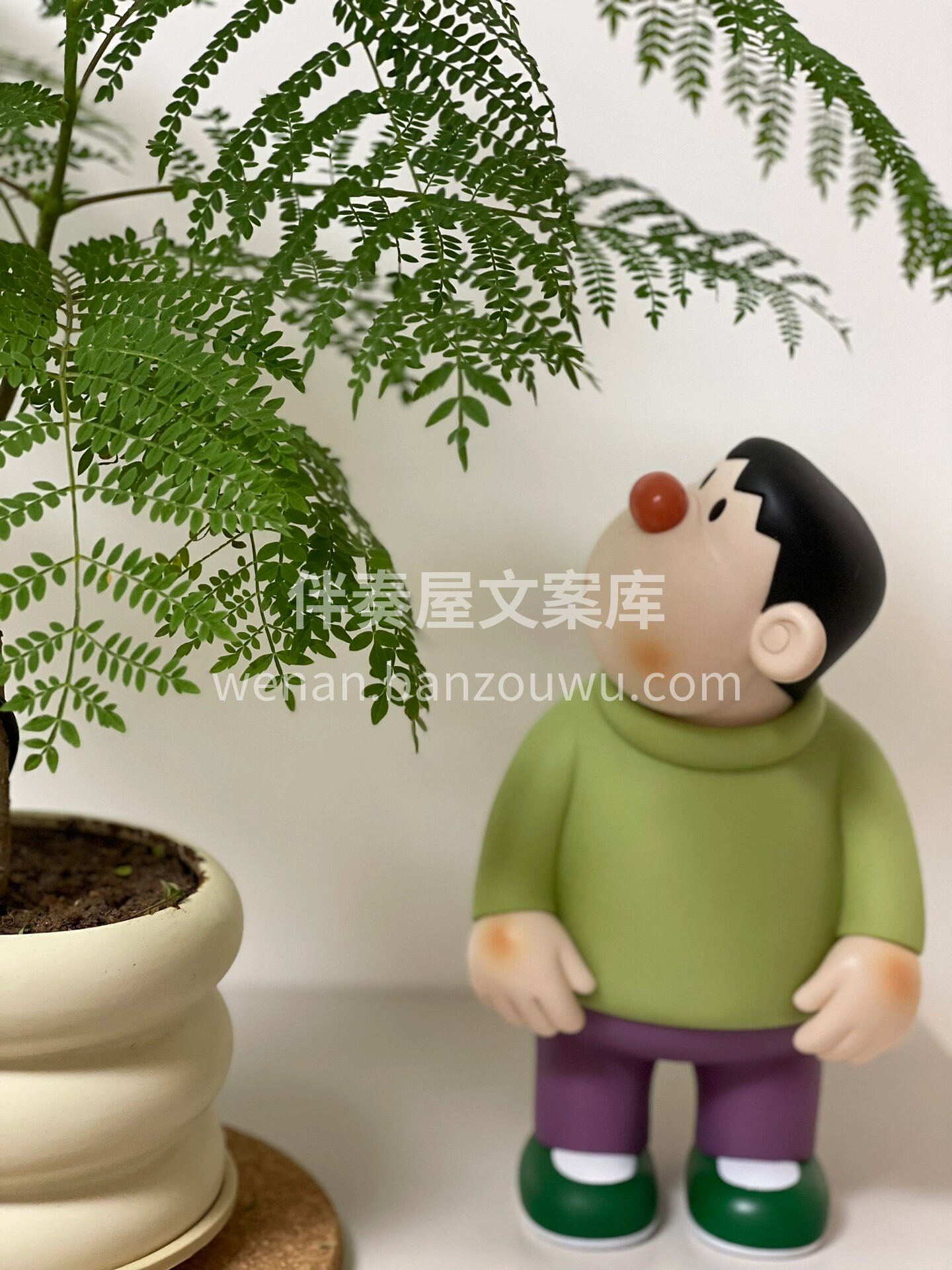 蓝花楹叶片小巧可爱😊 树影斑驳自带仙气的 配图2