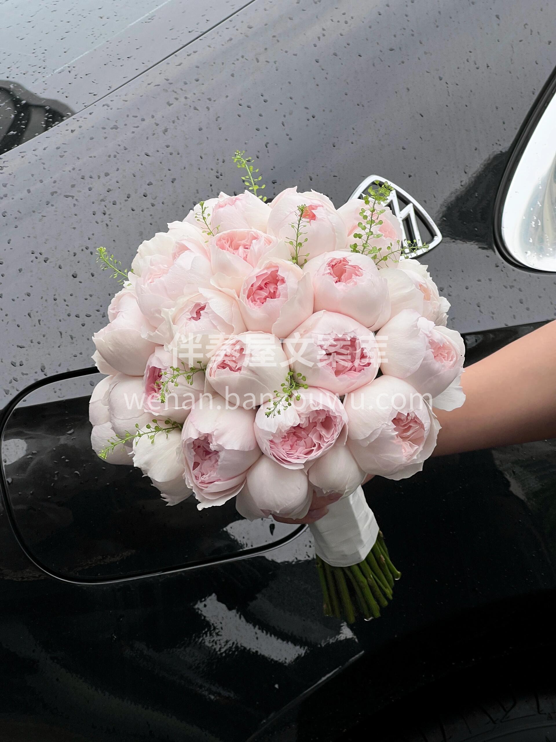 可爱瓷玫瑰手捧🌸 圆嘟嘟的超可爱 🎀 小众又高级 🌷它的魅力 配图1