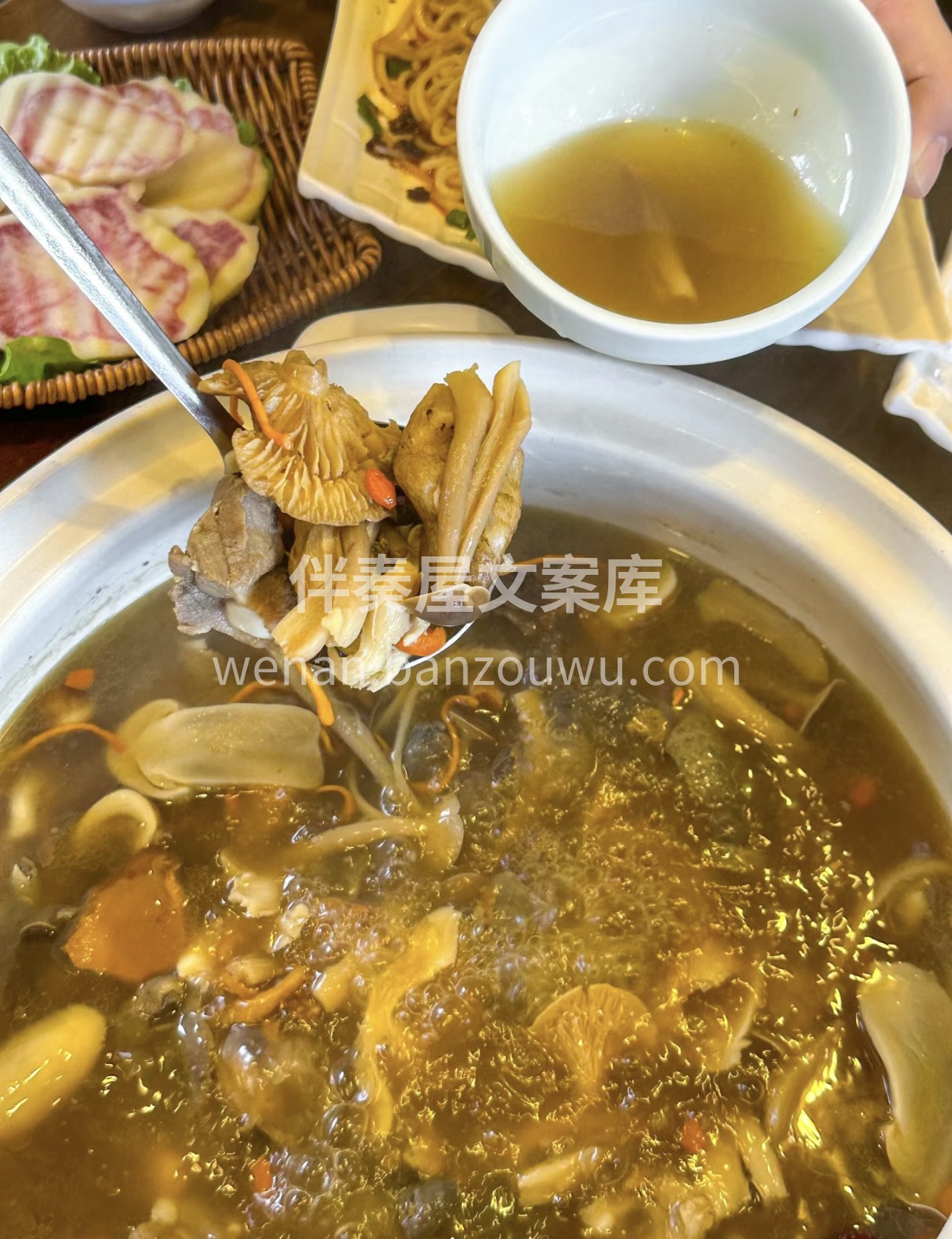 菌子火锅，多种鲜美的菌菇汇聚一锅，熬出浓 配图3