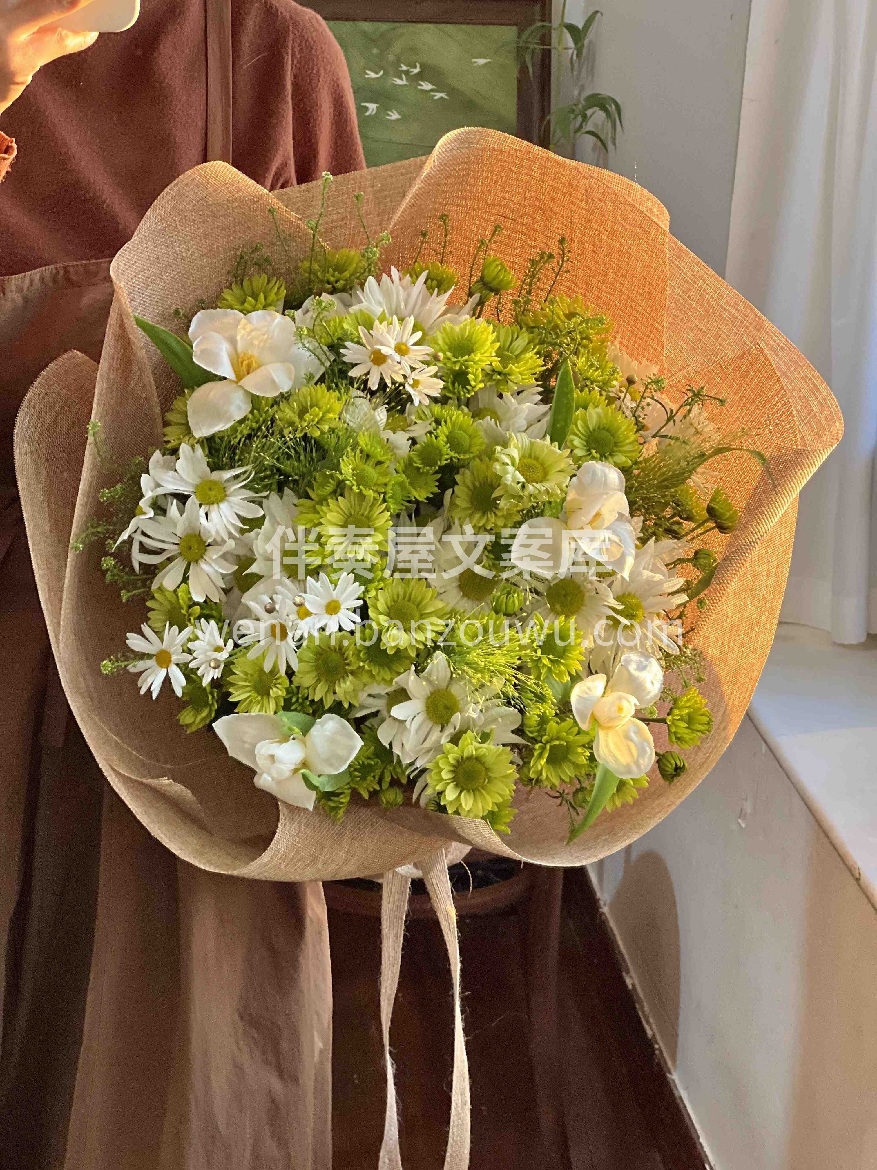 白绿色的自然温柔🍀像林间的晚风🎐 轻软又治愈🍃温柔了所有时光 配图2