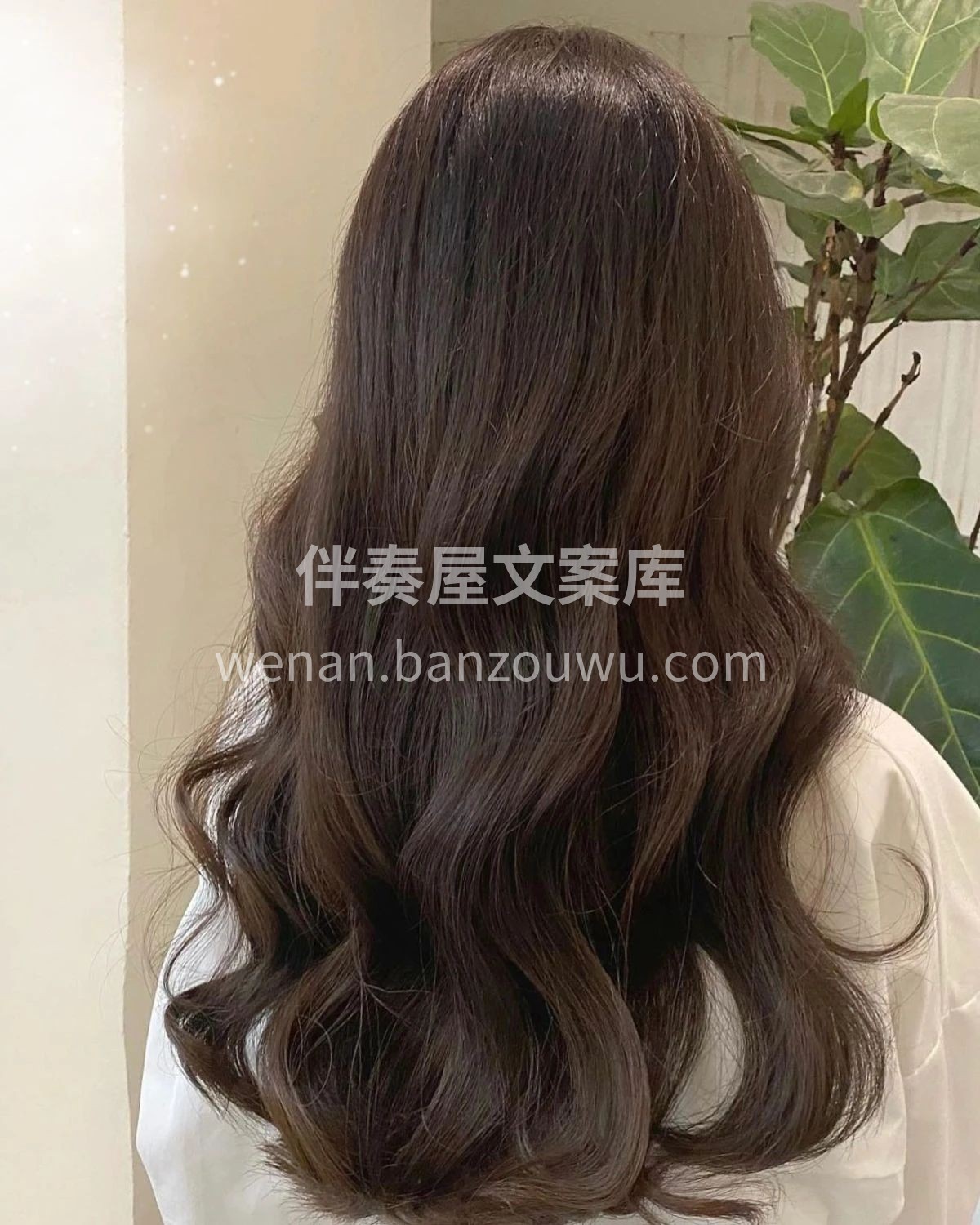 甜美法式烫发、背影女神 慵懒蓬松的卷发不