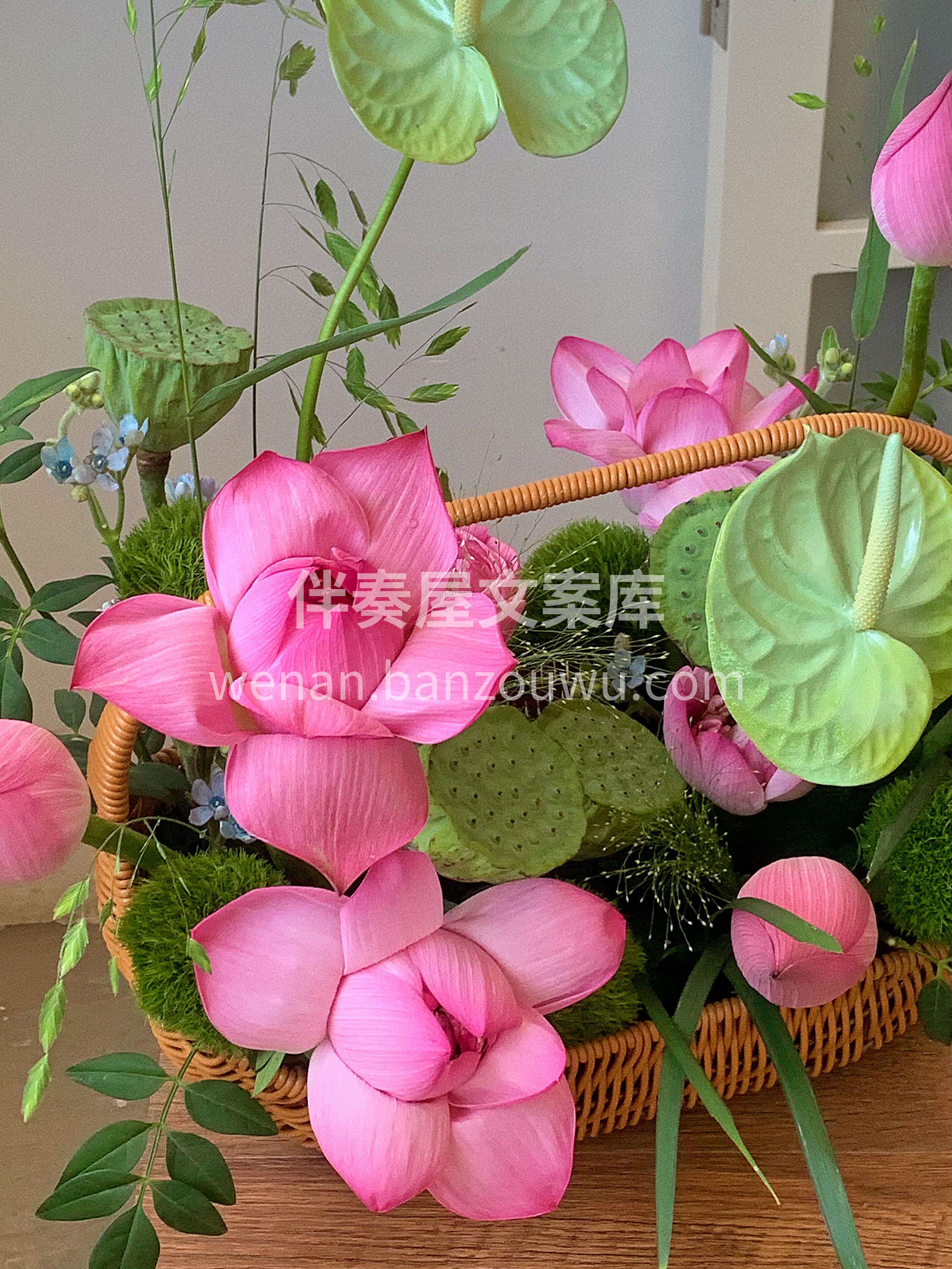 手提一篮荷香奔赴盛夏🌸 饱满的荷花 俏皮的小莲蓬 缀着晨露般 配图3