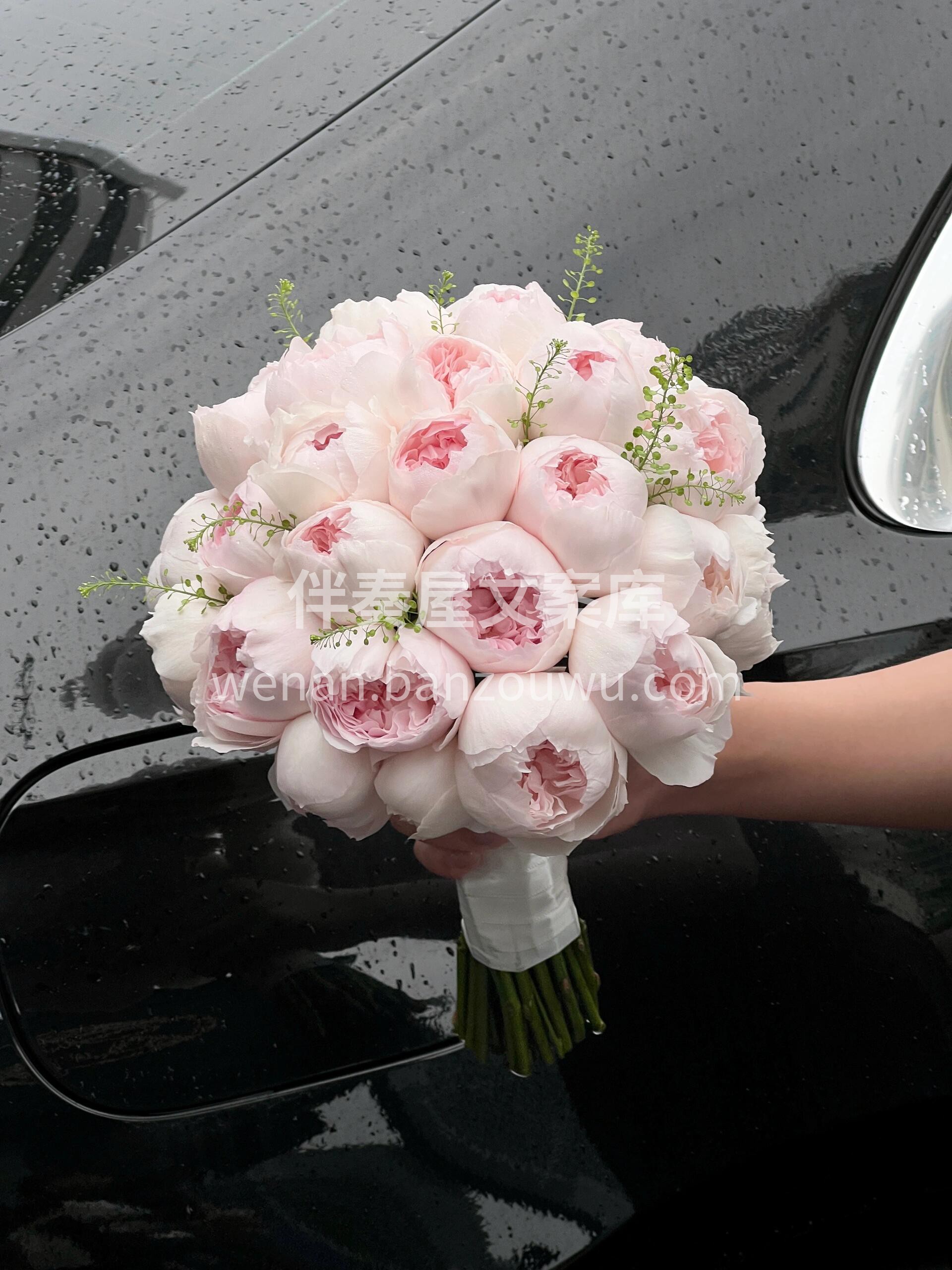 可爱瓷玫瑰手捧🌸 圆嘟嘟的超可爱 🎀 小众又高级 🌷它的魅力 配图3