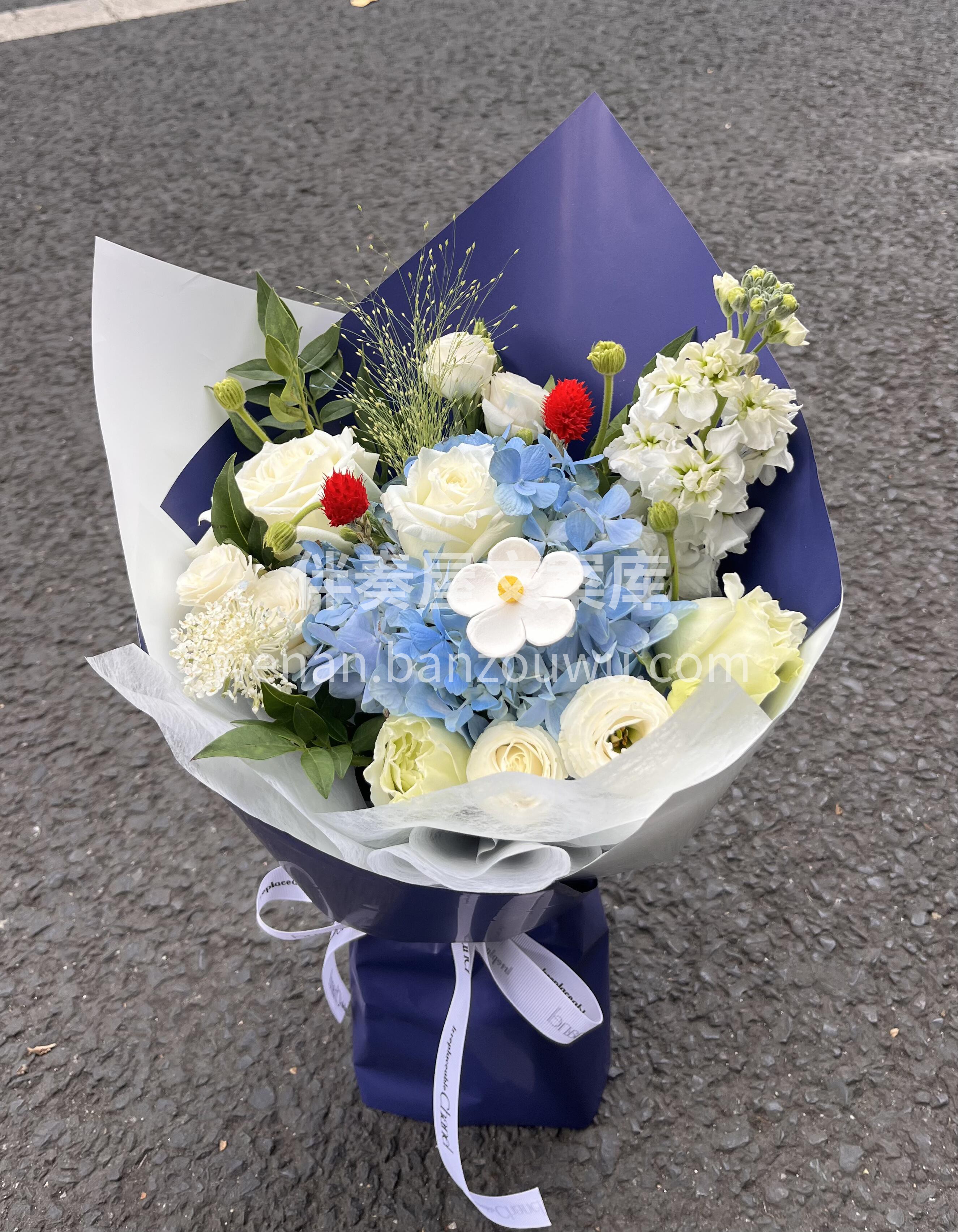 蓝色小花束💐 蓝调的💙浪漫 是我给你的专 配图1