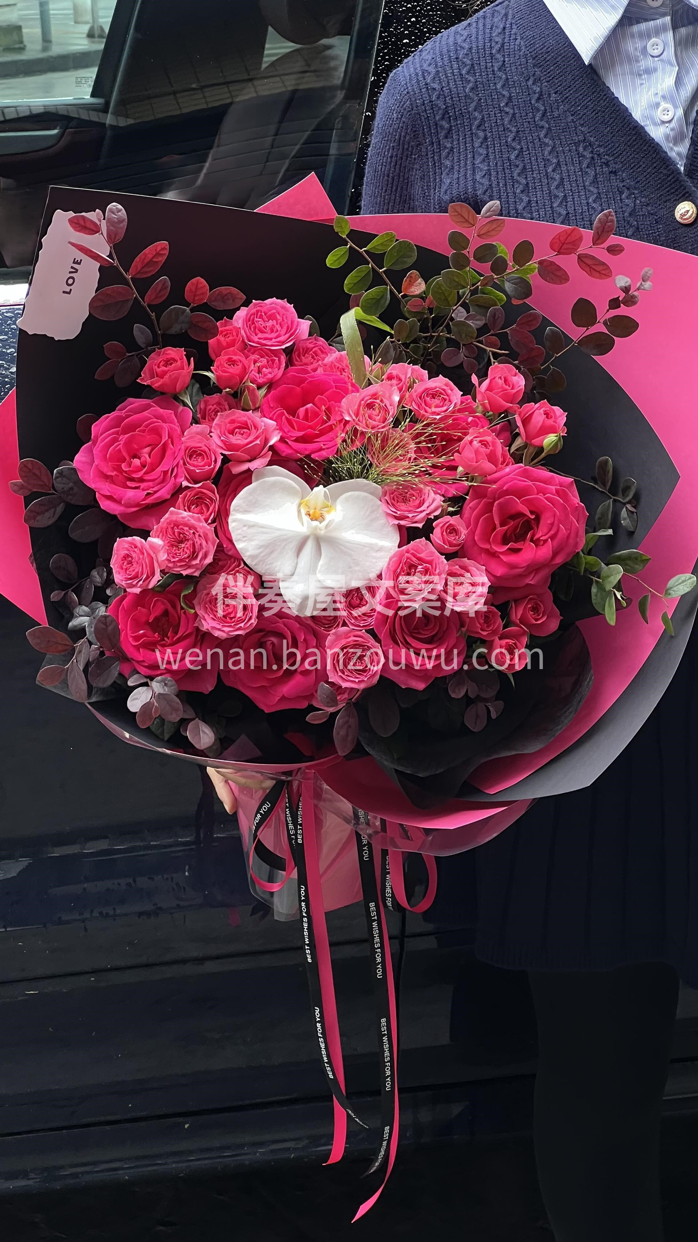 🌿朋友圈颜值担当❤️ 弗洛伊德的深情搭配苏菲宝贝的灵动🌸 高 配图2