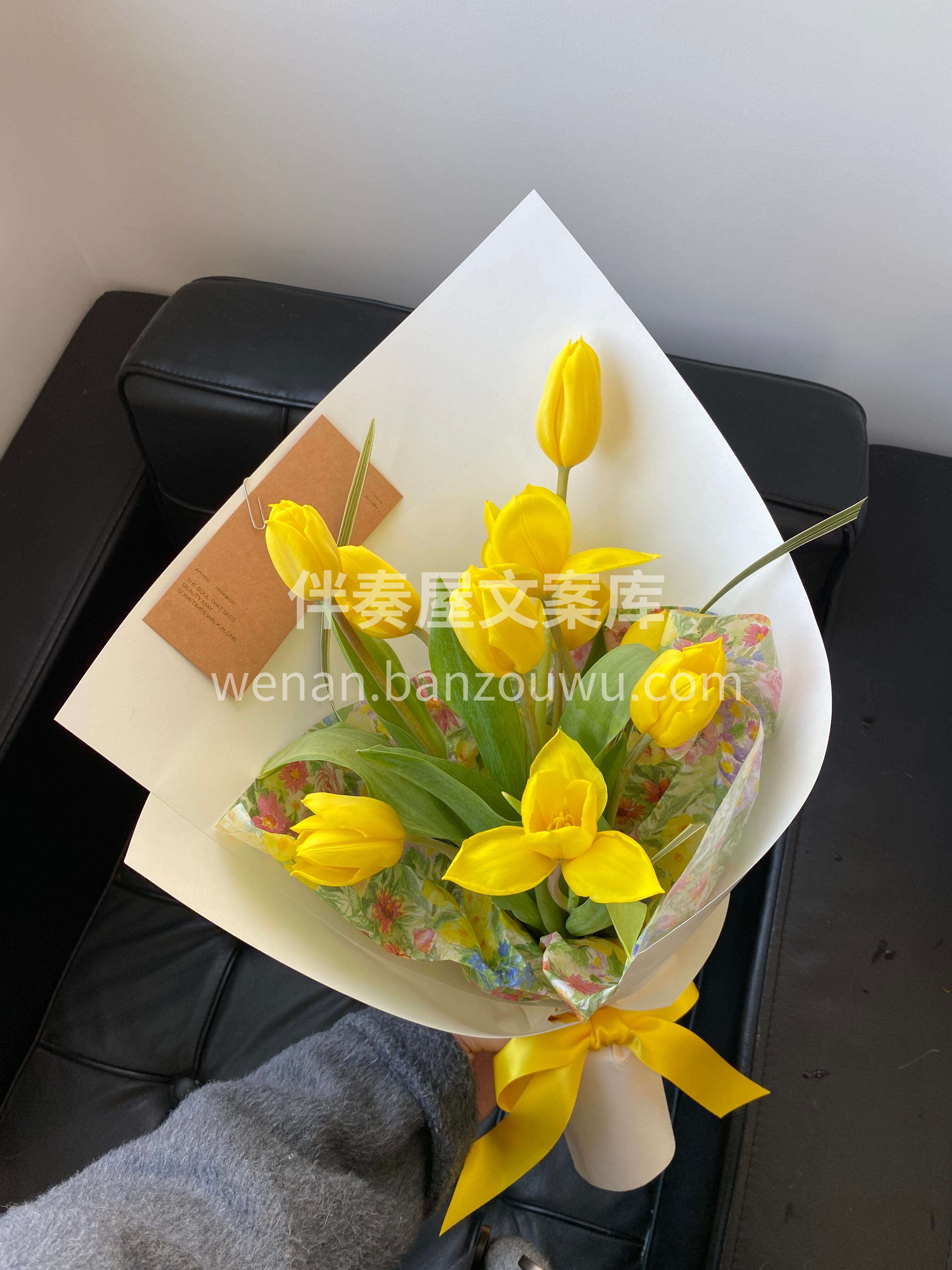 都说🌷郁金香是春天的代名词 那黄色的一定是其中最活泼的那一笔 配图2