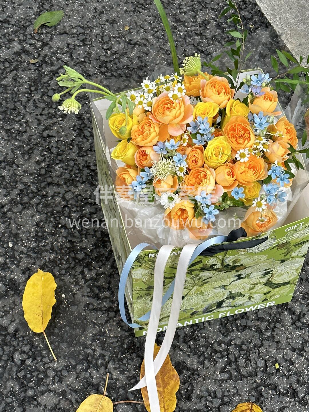 充满了自由与阳光的花花🌸 暖洋洋☀的颜色 配图2